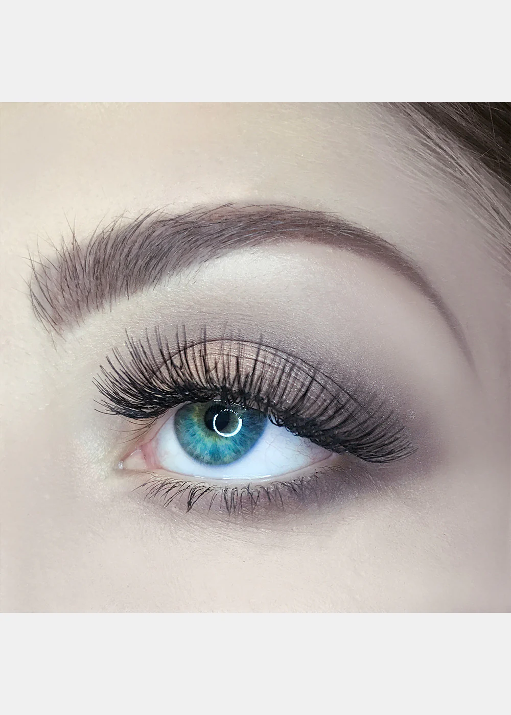 AOA Studio Eyelashes - Rose - Mrs Treak