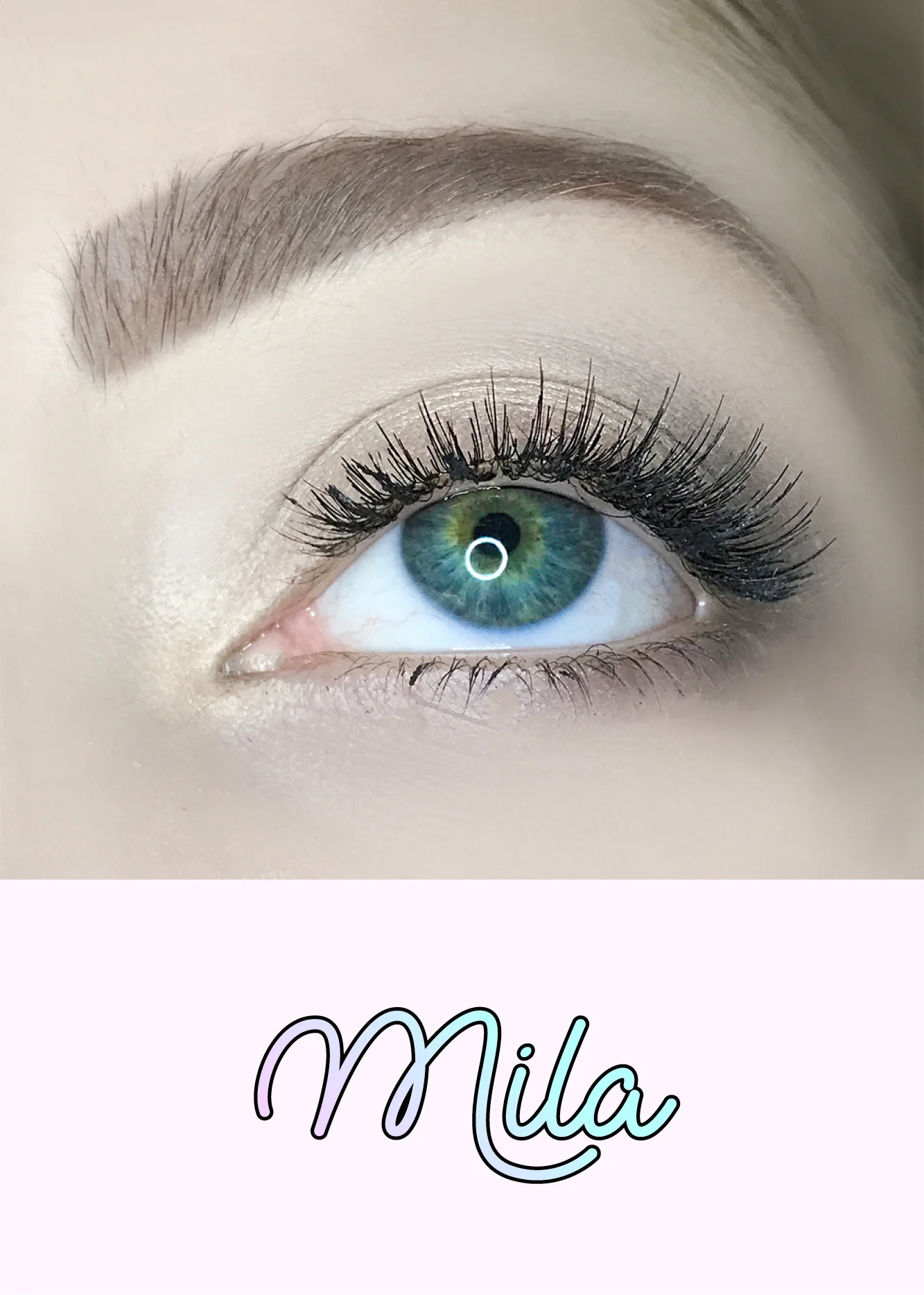 AOA Studio Eyelashes - Mila - Mrs Treak