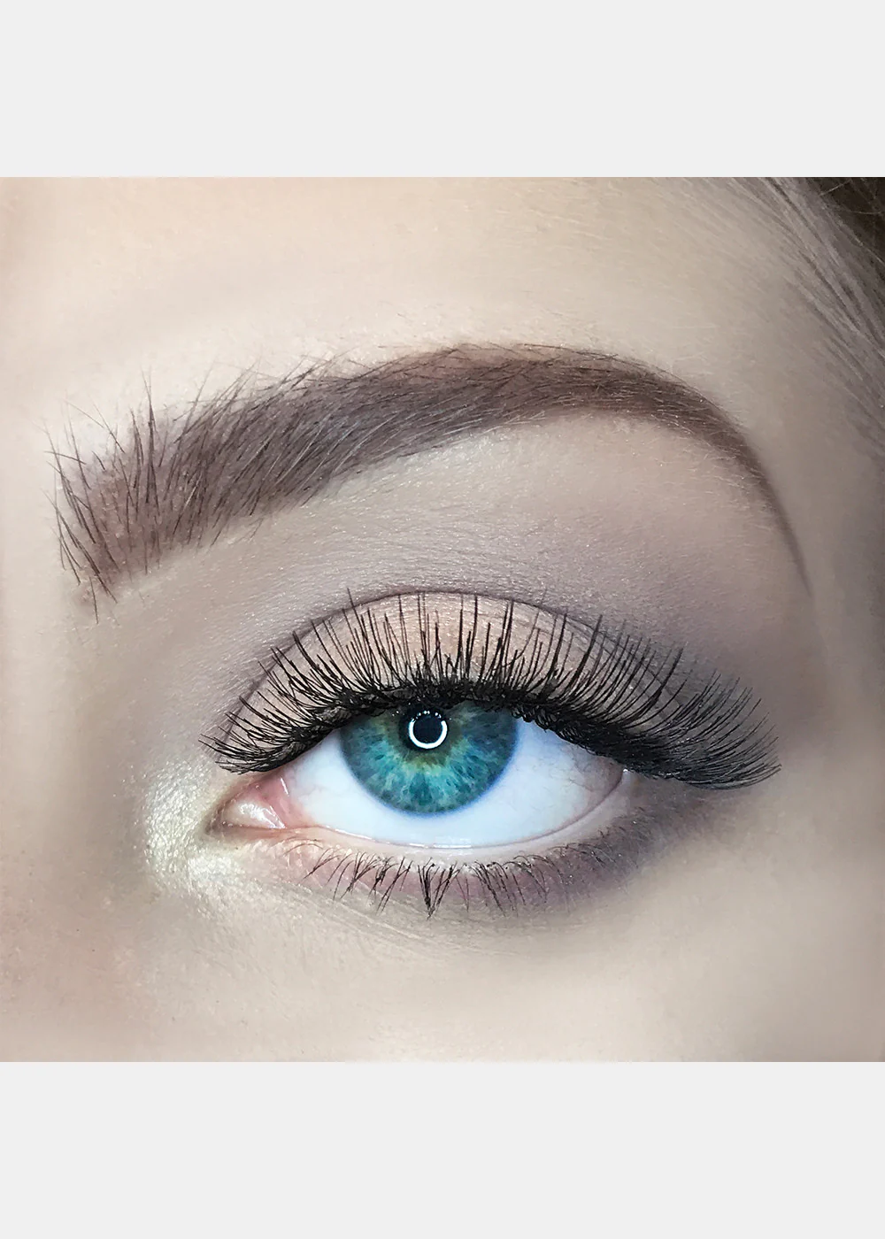 AOA Studio Eyelashes - Rose - Mrs Treak