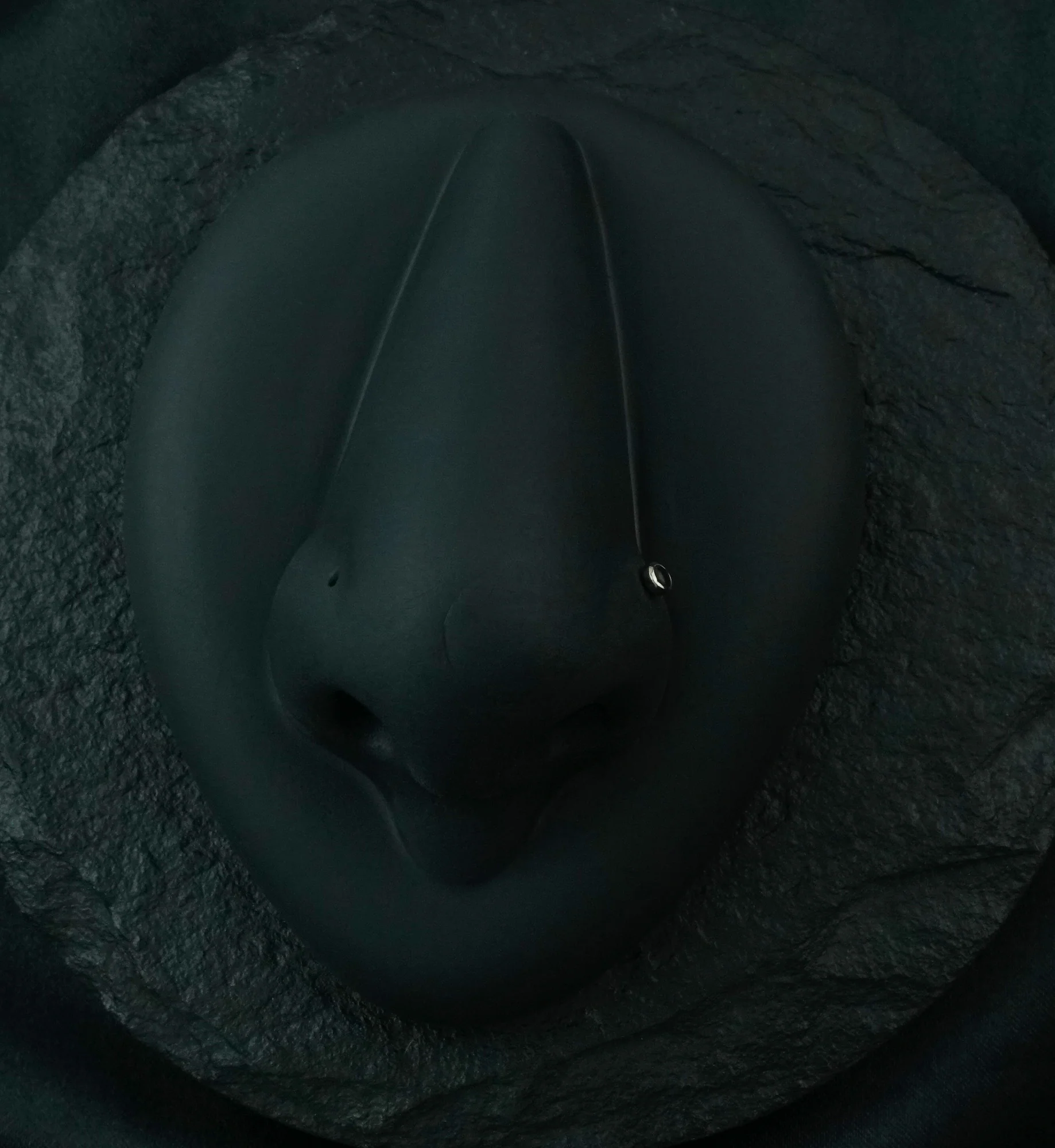 Titanium Nose Screw With Black Onyx Stone - Mrs Treak