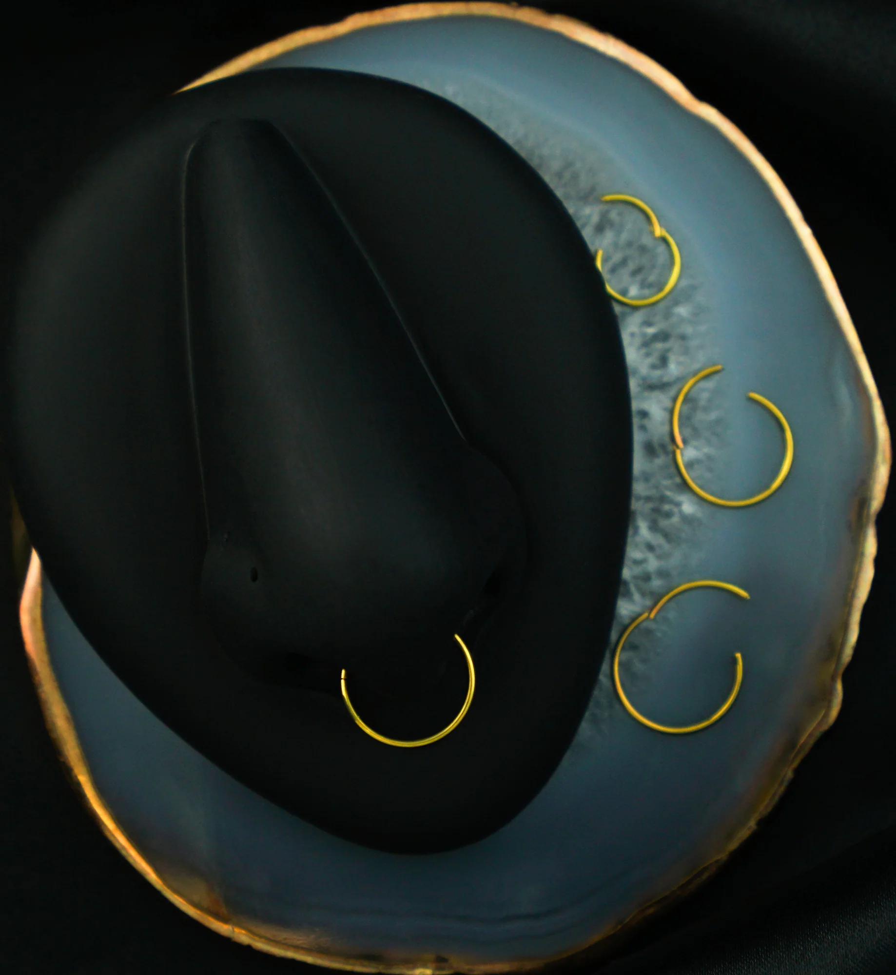 Gold Anodized Titanium Hinged Segment Hoop Ring - Mrs Treak