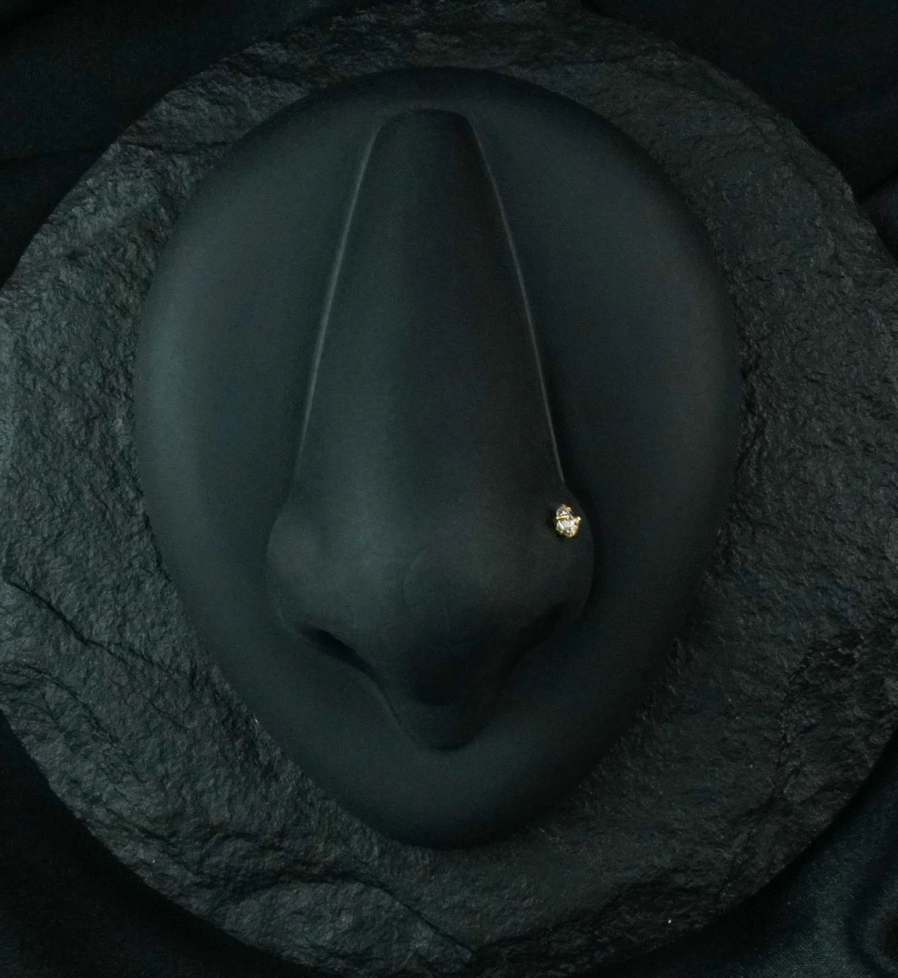 Gold Prong Set CZ Stainless Steel Nose Screw - Mrs Treak