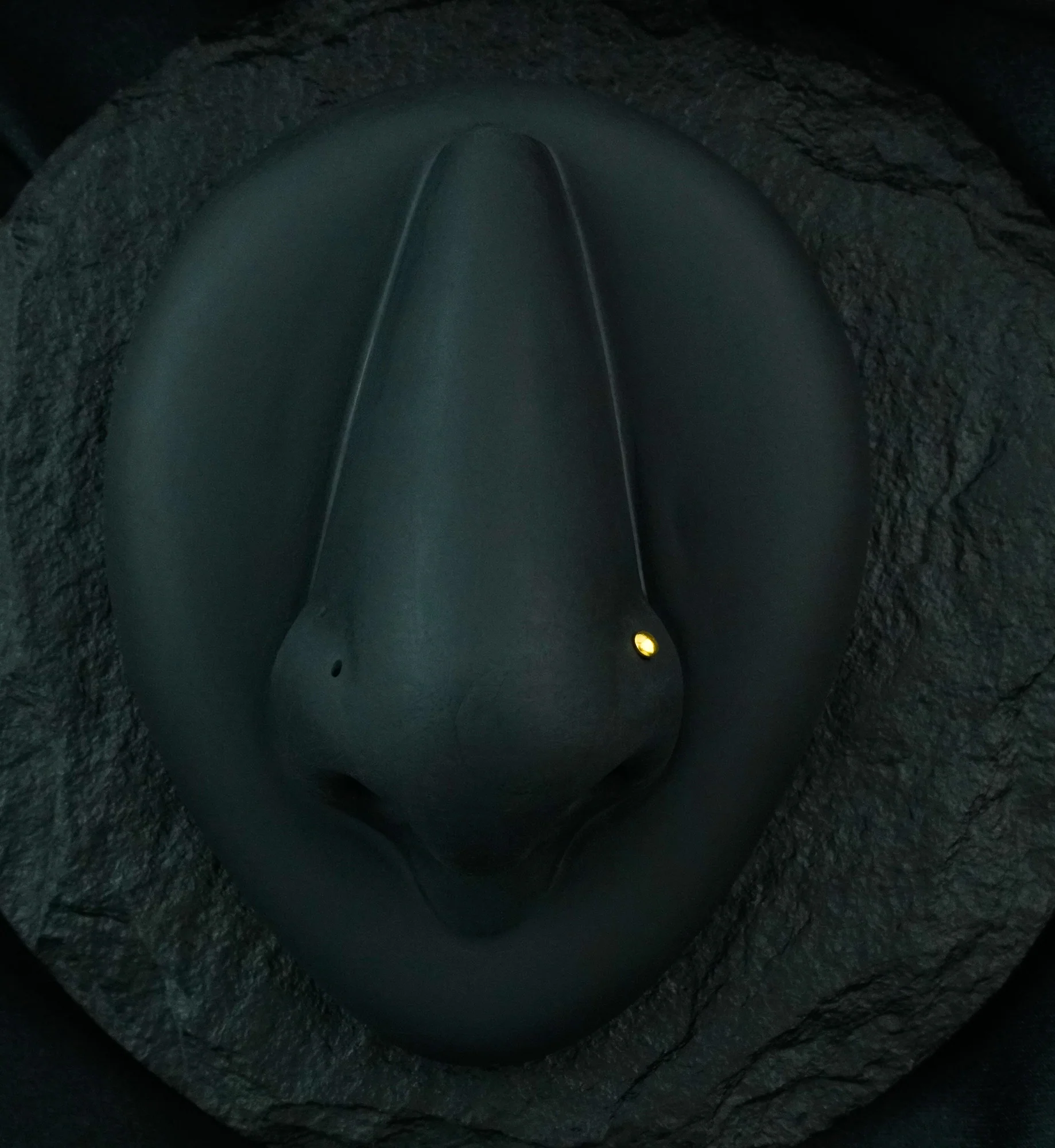 Gold PVD Dome Top L Bend Nose Ring - Mrs Treak