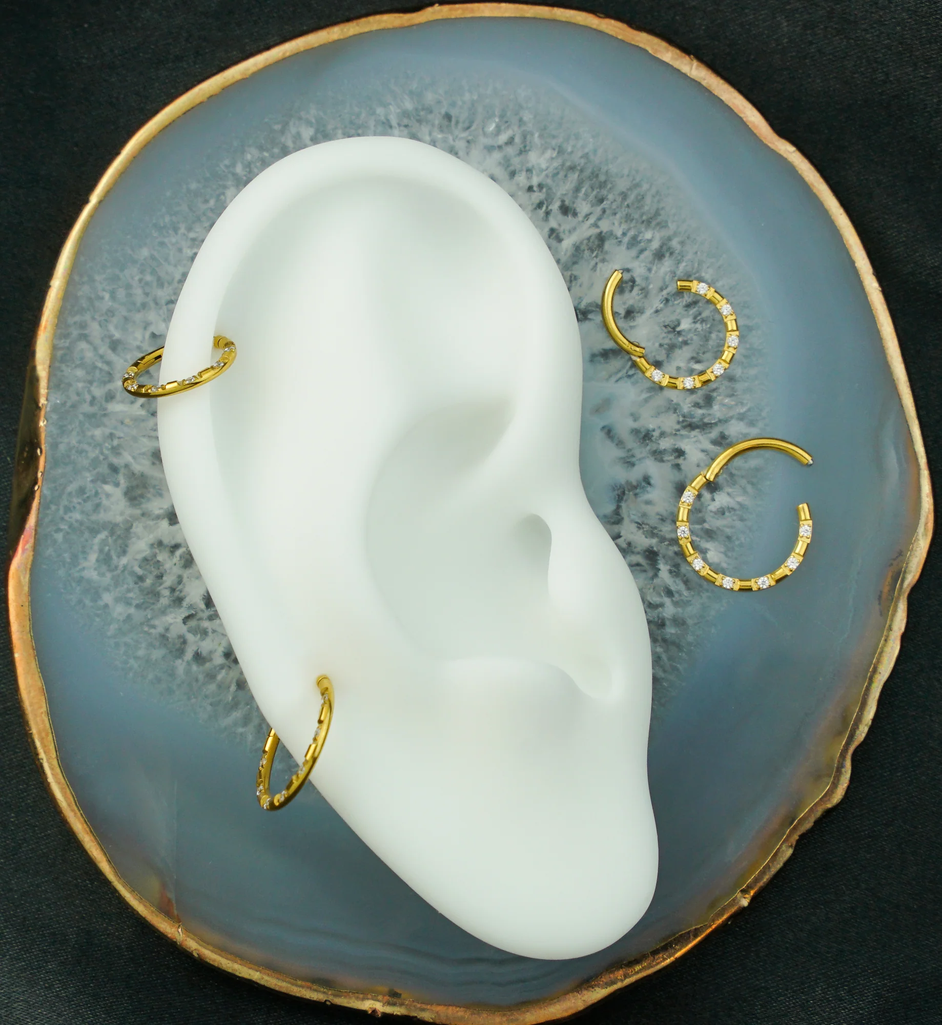 Gold PVD Spotted Round Clear CZ Stainless Steel Hinged Segment Ring - Mrs Treak