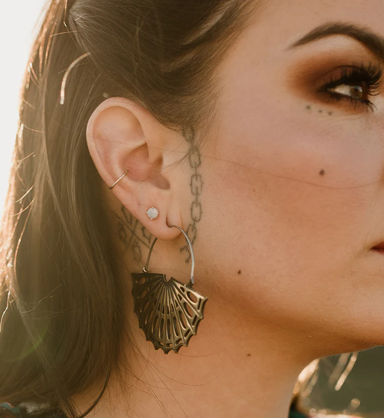 Aileron Titanium Hangers - Earrings - Mrs Treak