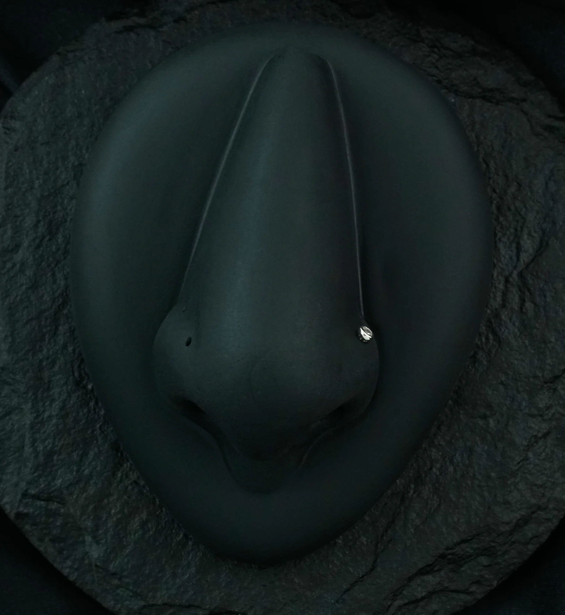 14kt White Gold L Bend CZ Bezel Nose Ring - Mrs Treak