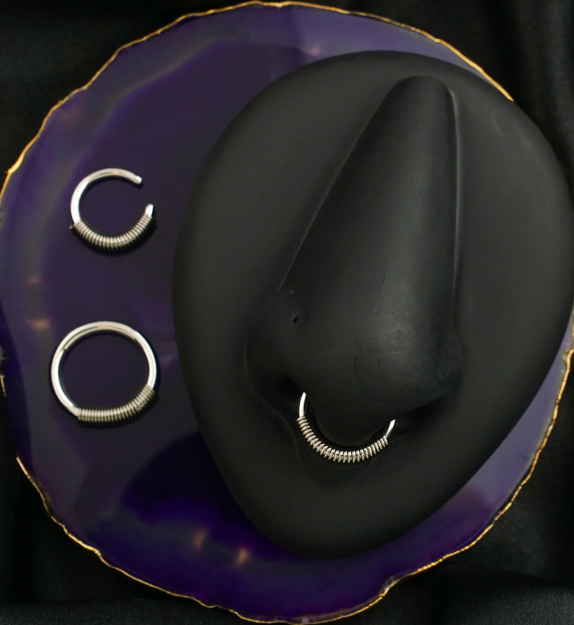 Spring Stainless Steel Hoop Ring - Mrs Treak