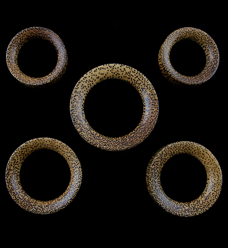 Coconut Wooden Concave Tunnels - Mrs Treak