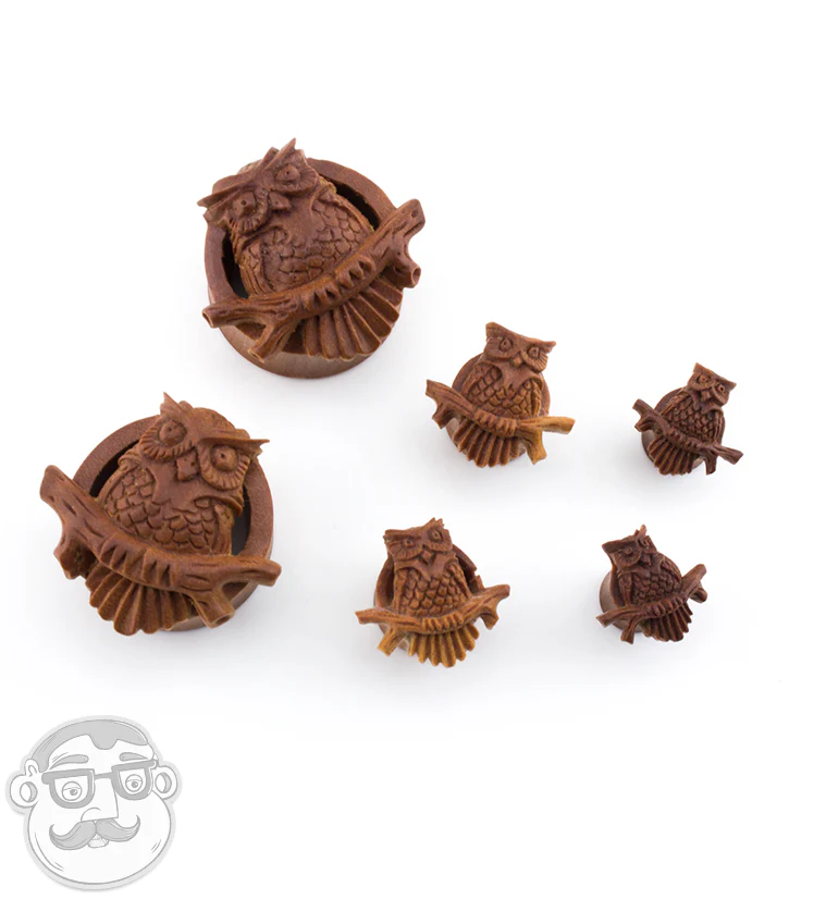 Owl Perch Carved Saba Wood Tunnels - Mrs Treak