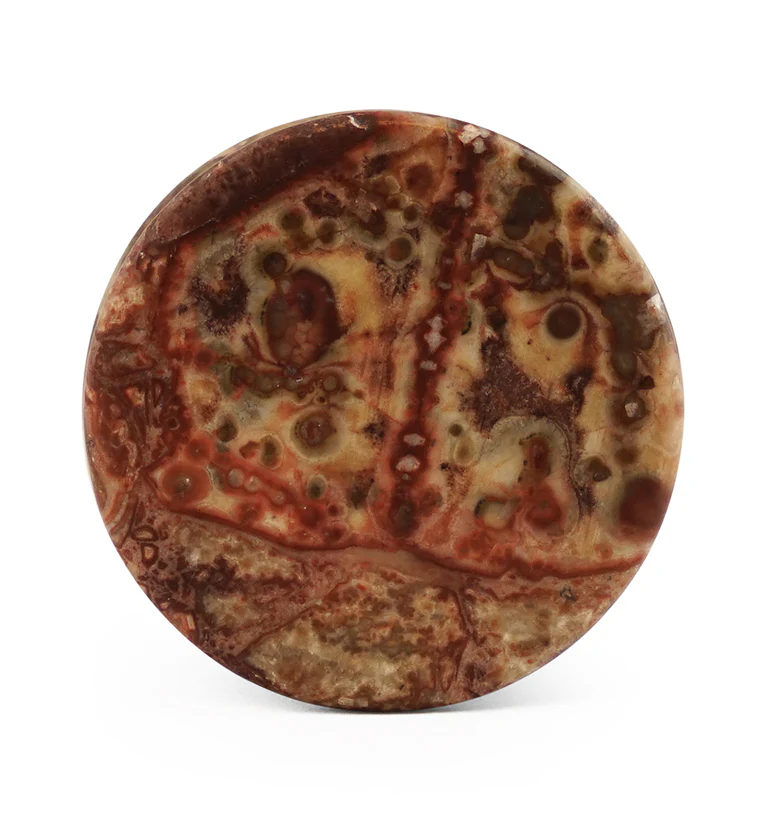 Leopard Jasper Stone Plugs - Mrs Treak