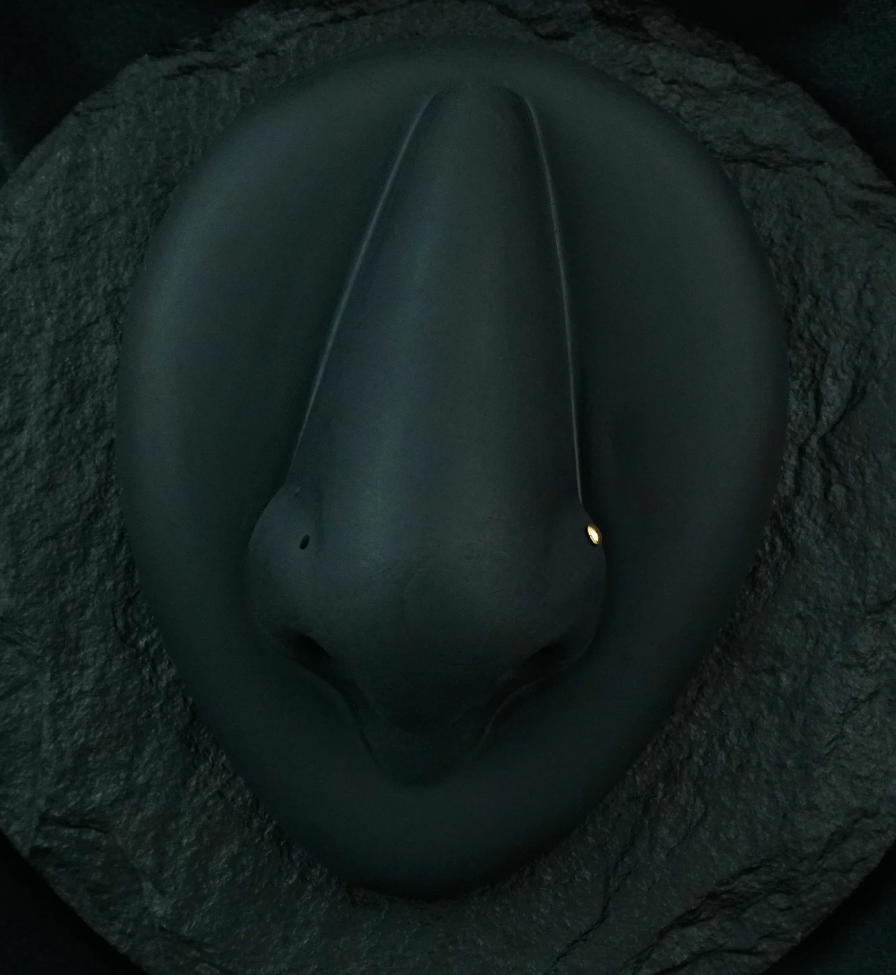 Rose Gold PVD Dome Top L Bend Nose Ring - Mrs Treak