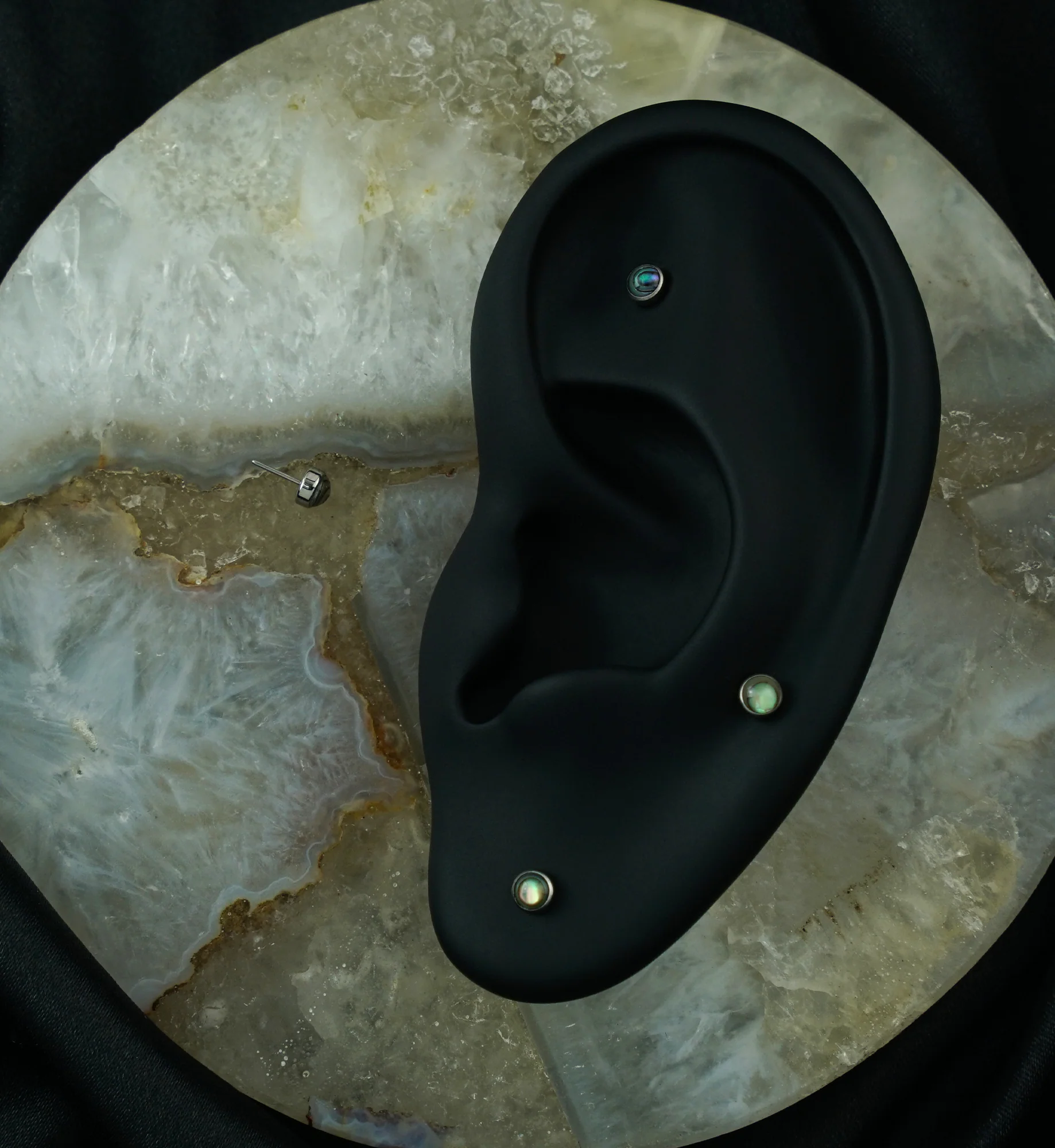 Bezel Abalone Shell Titanium Threadless Top - Mrs Treak