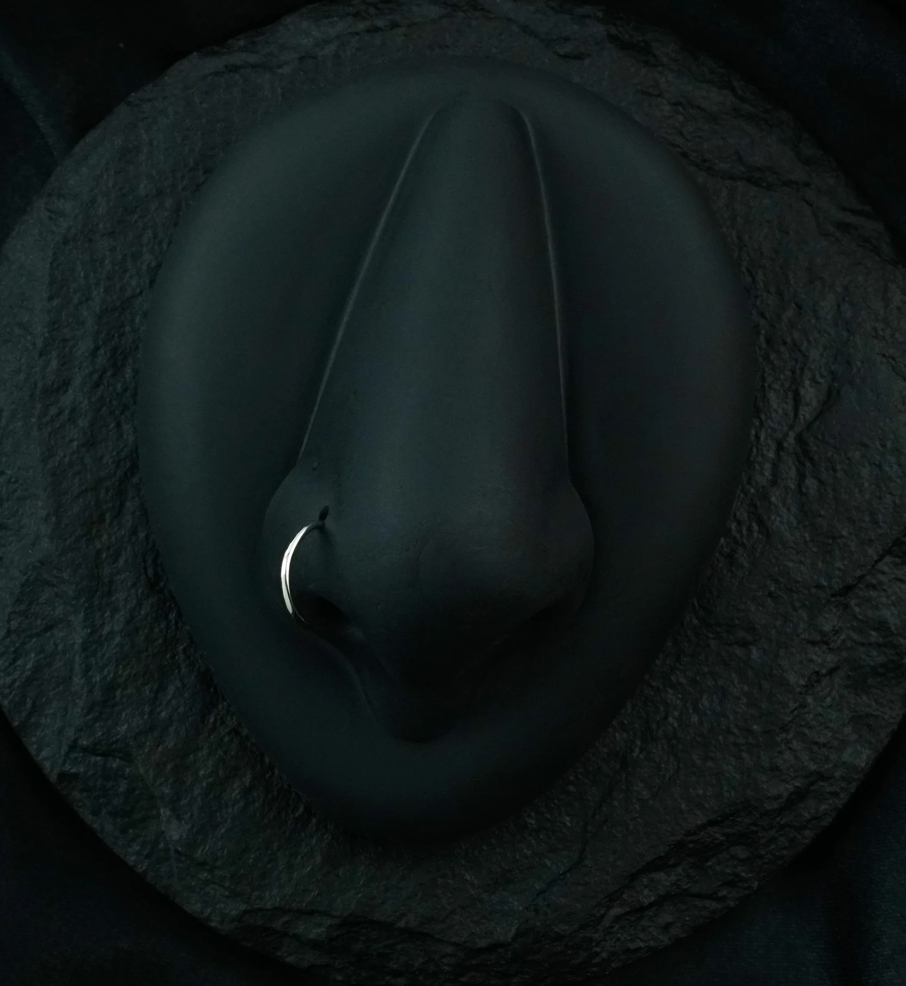 14kt White Gold Hoop Nose Ring - Mrs Treak