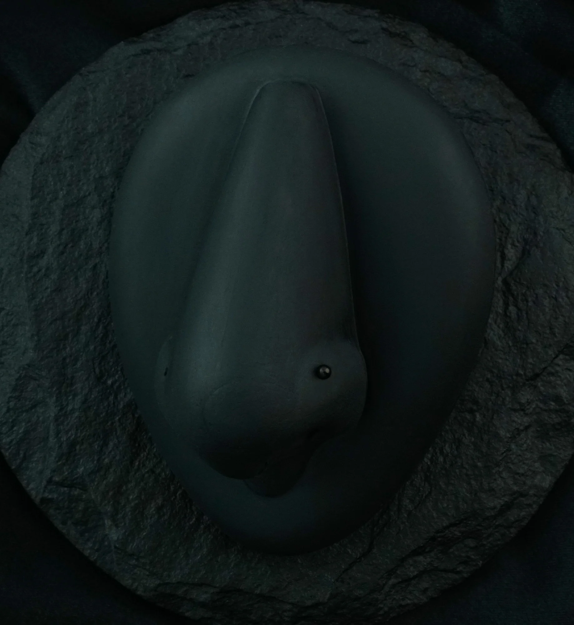 Black PVD Ball Top L Bend Nose Ring - Mrs Treak