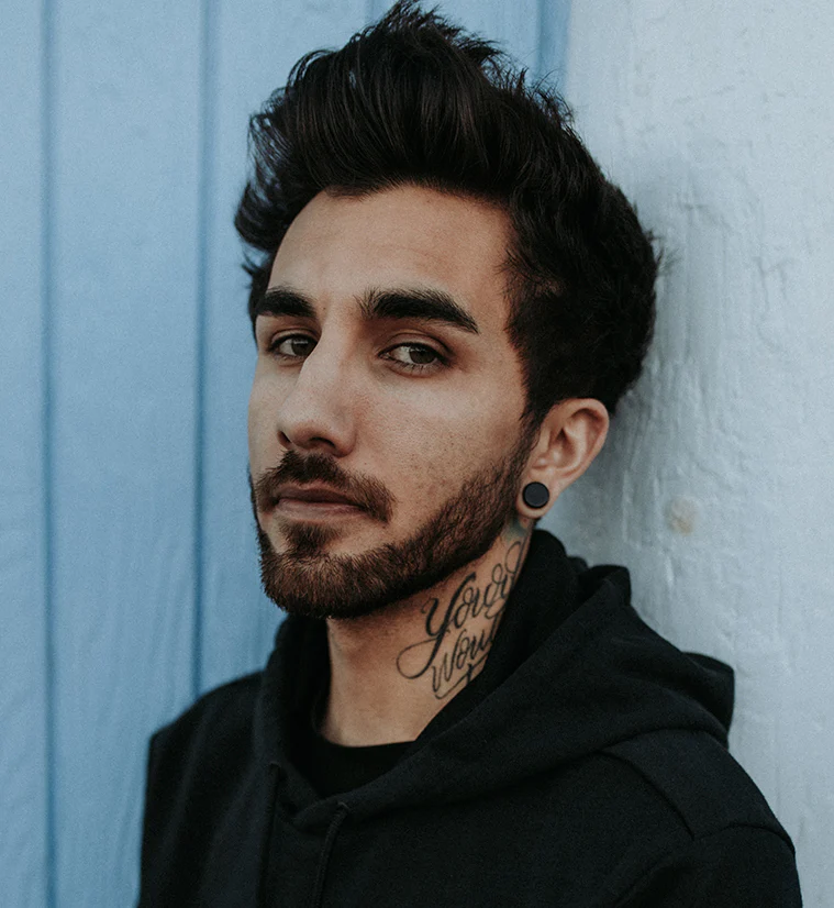 Black Obsidian Stone Plugs - Mrs Treak