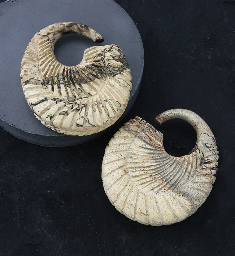 Teardrop Groove Tamarind Wood Hoop Plugs - Mrs Treak