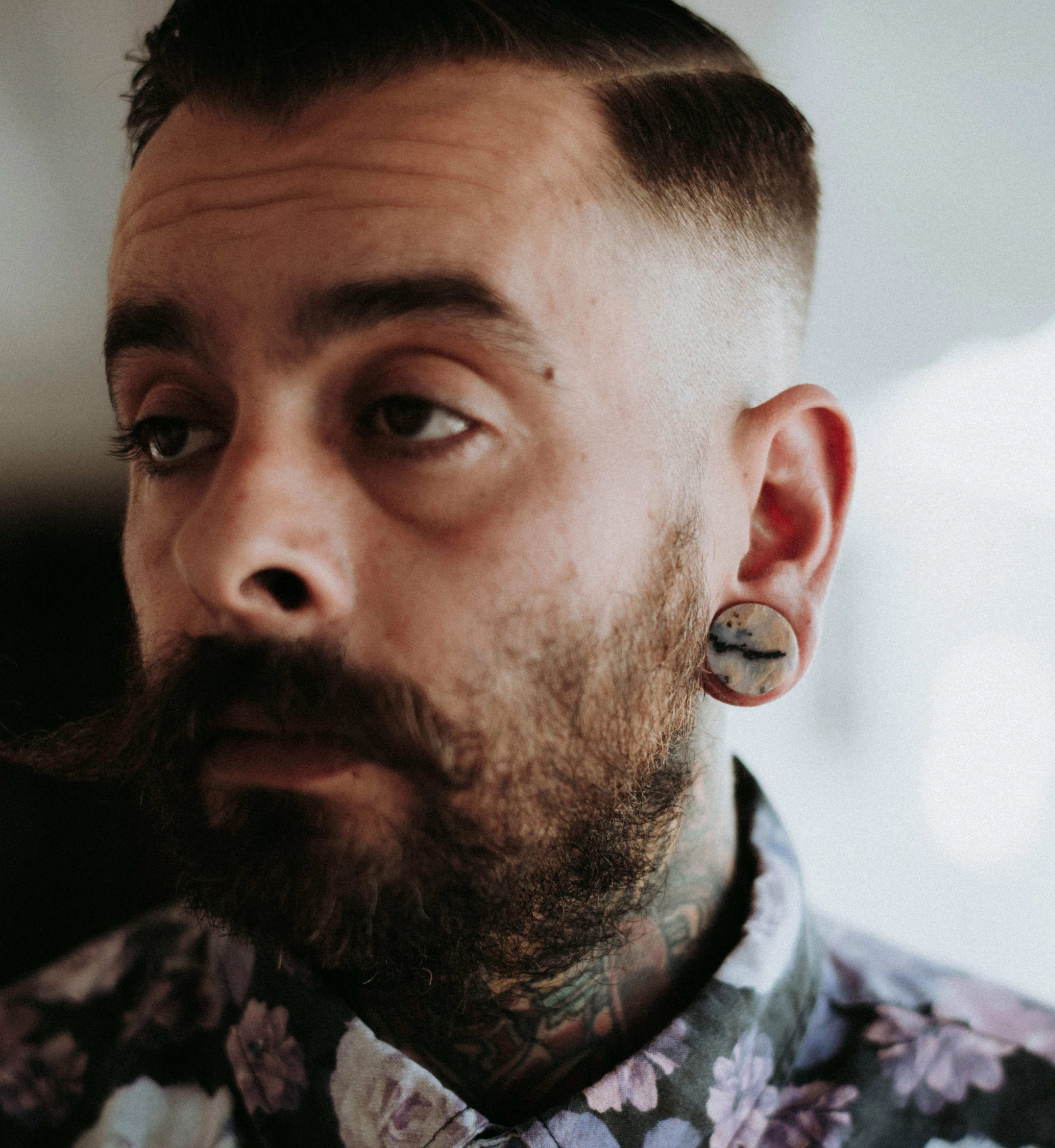 Tiger Agate Dendritic Stone Plugs - Mrs Treak