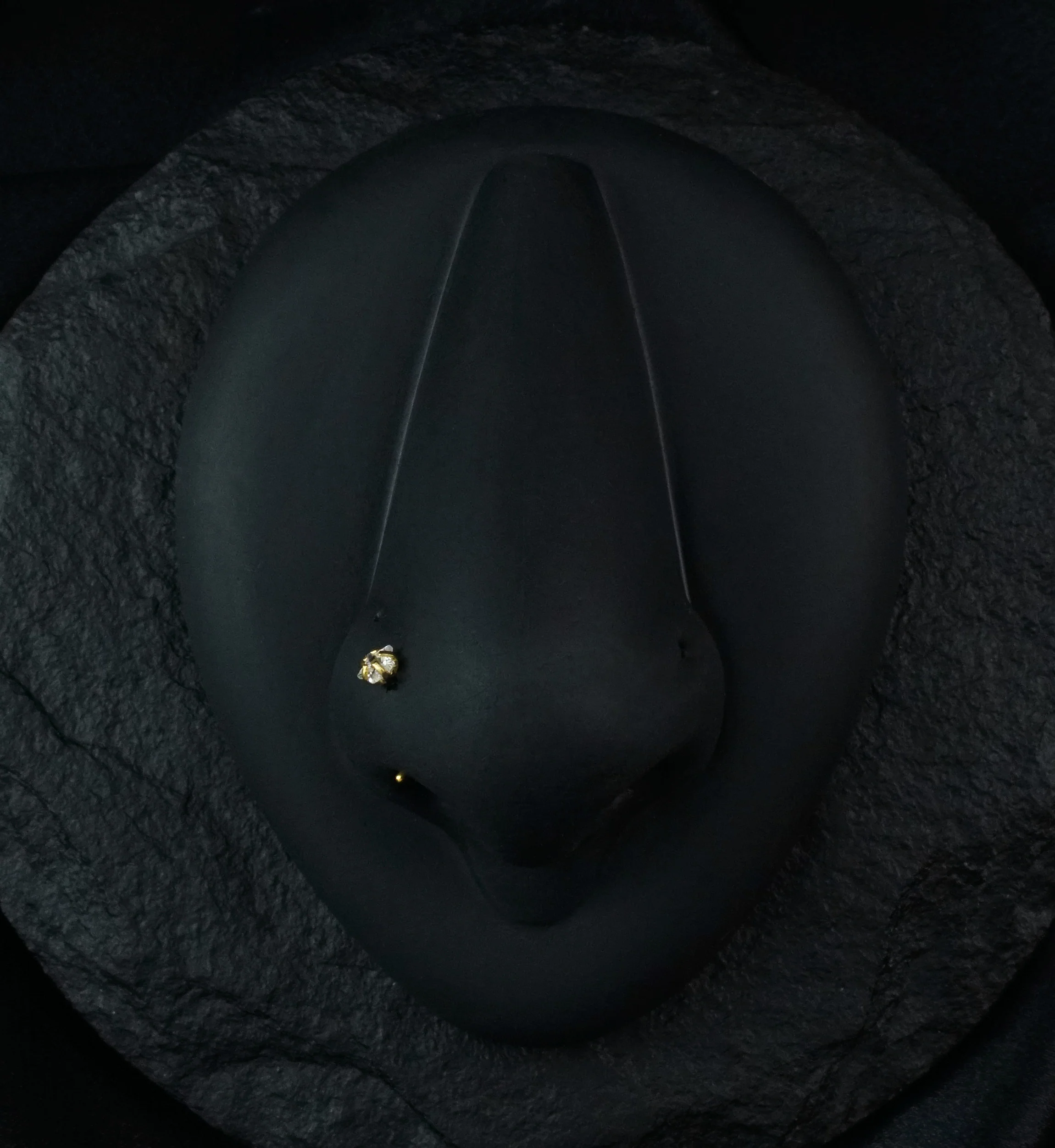 Gold PVD Star CZ Prong L Bend Nose Ring - Mrs Treak