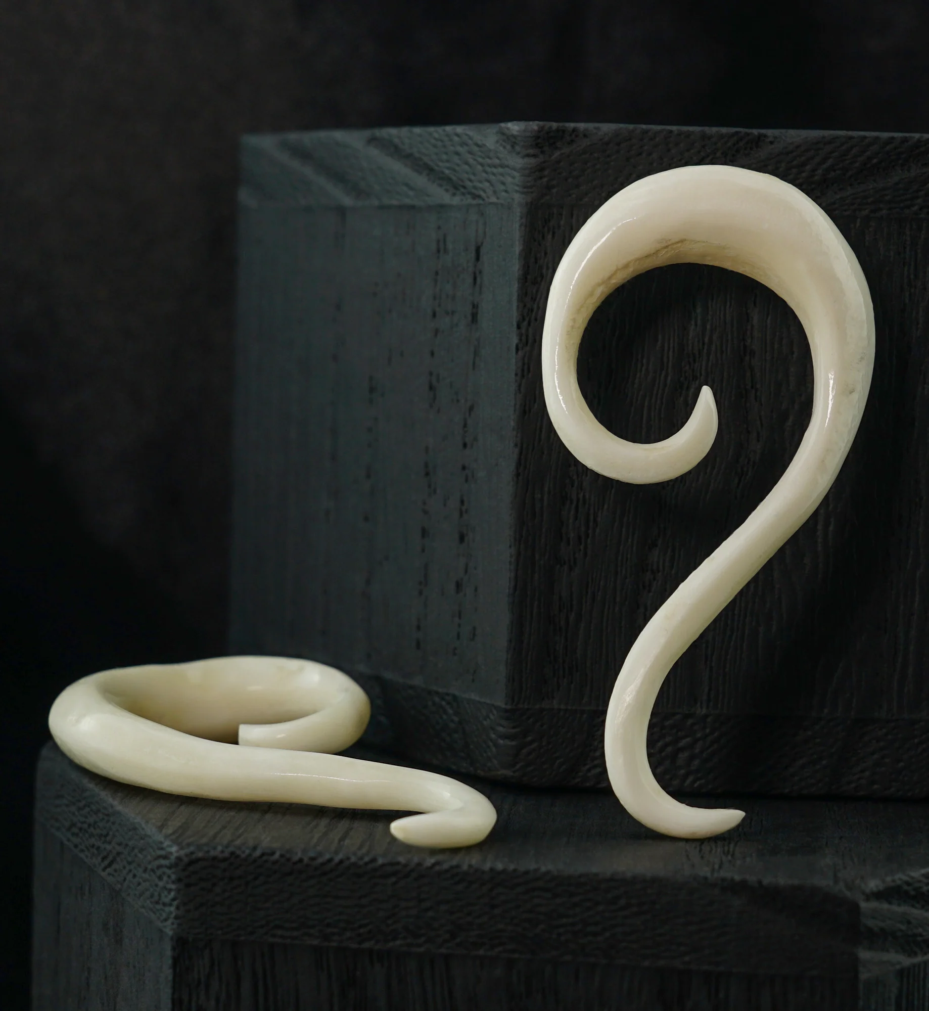 Bone Tail Spirals - Mrs Treak