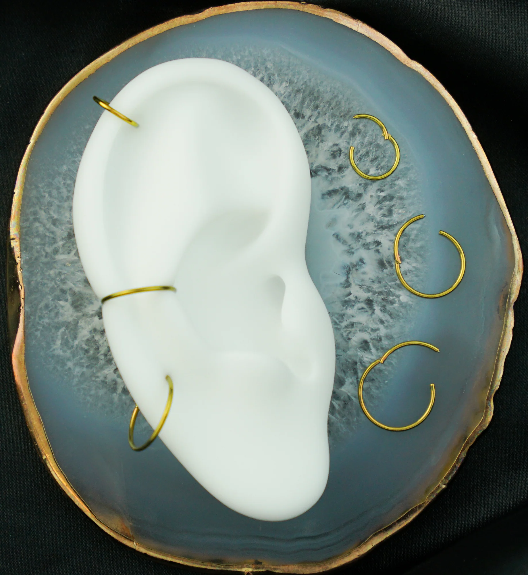 Gold Anodized Titanium Hinged Segment Hoop Ring - Mrs Treak