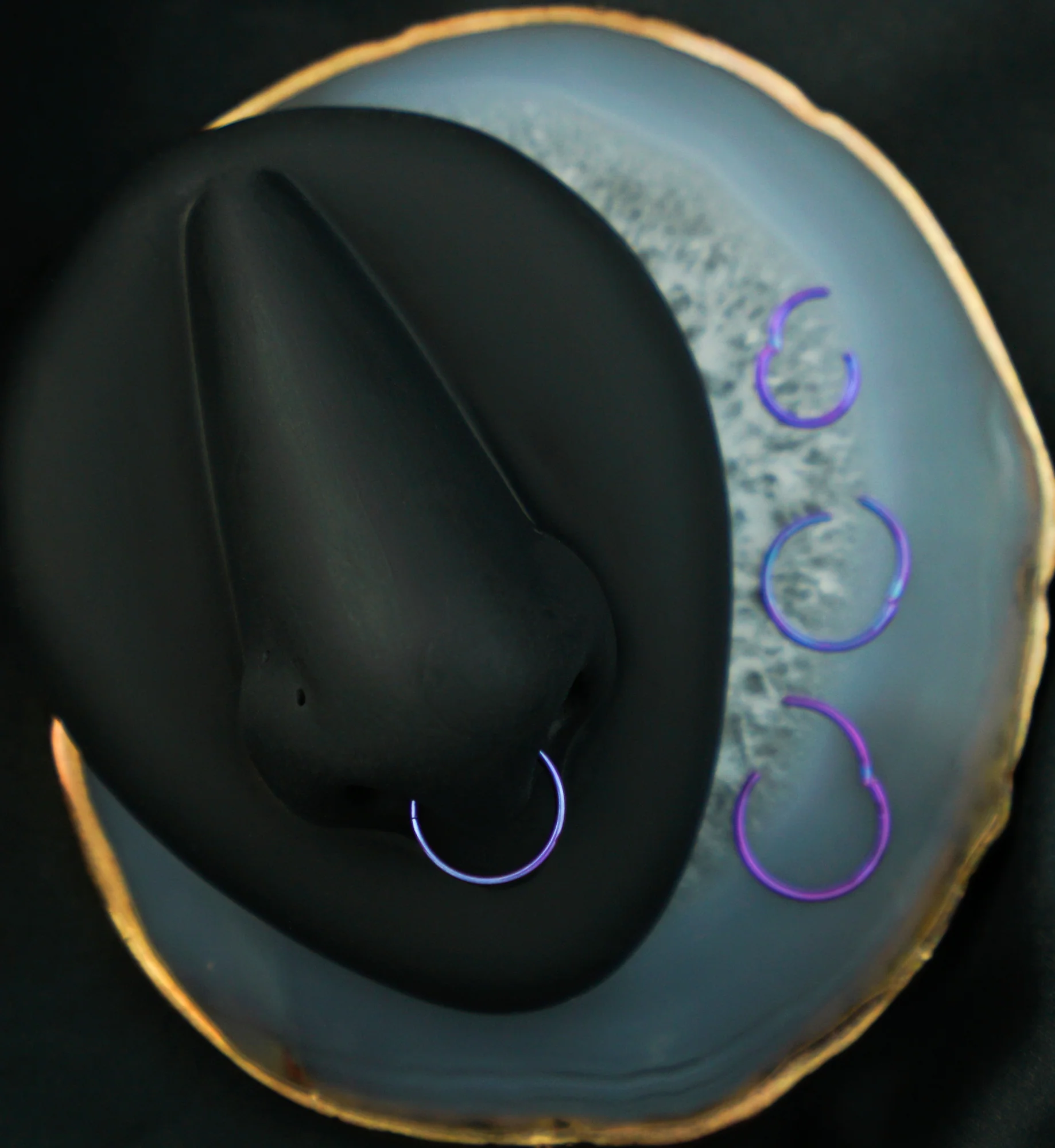 Purple Anodized Titanium Hinged Segment Hoop Ring - Mrs Treak