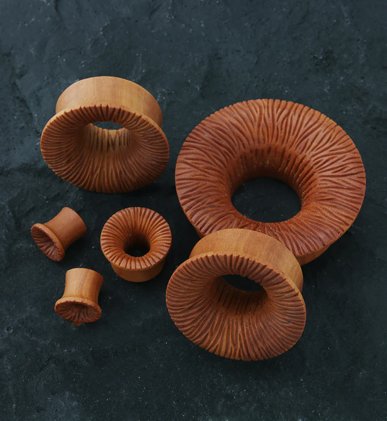 Score Saba Wood Mayan Flare Tunnel Plugs - Mrs Treak