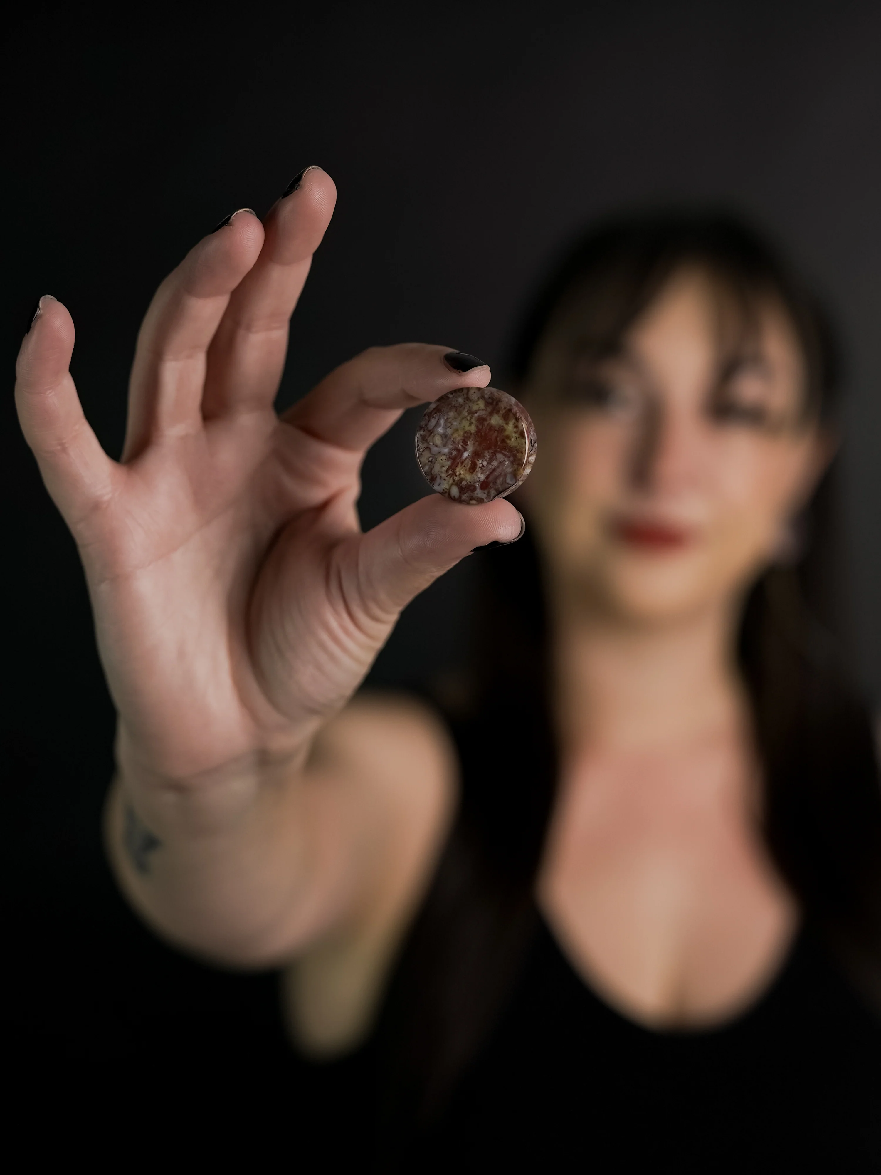 Petrified Palm Root Agate Plugs - Mrs Treak