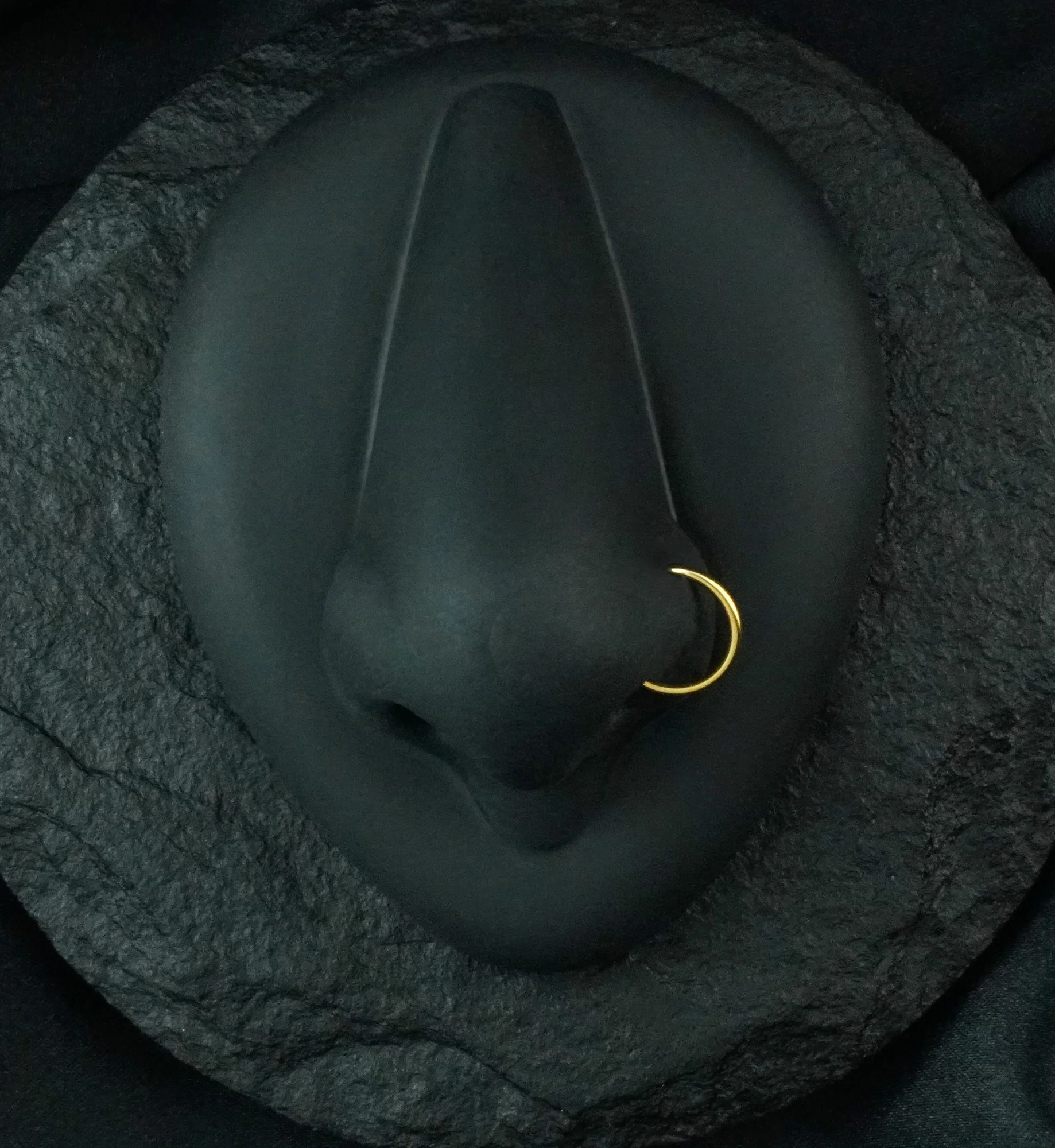 Gold PVD Titanium Nose Ring Hoop - Mrs Treak