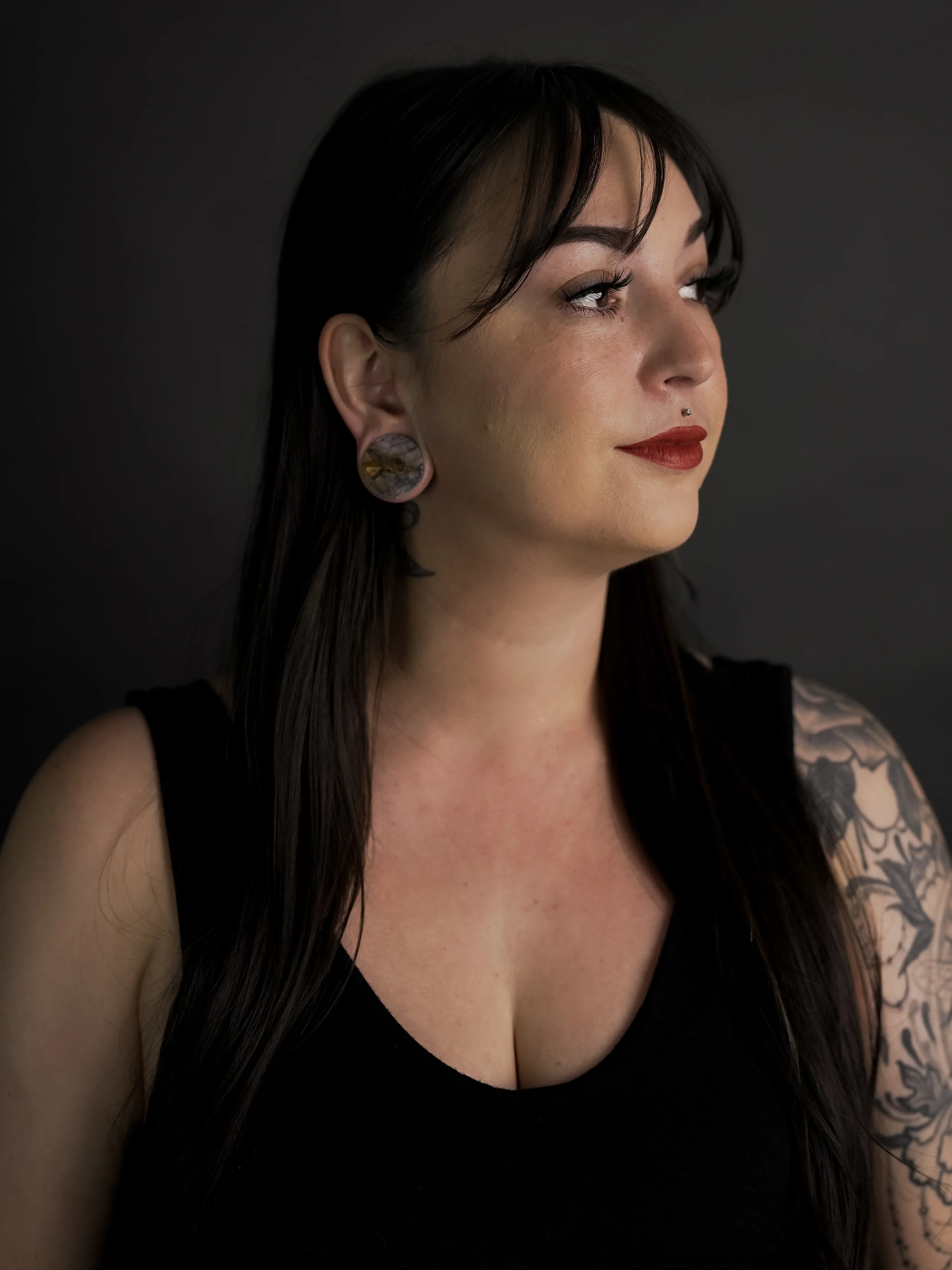 Willow Creek Jasper Stone Plugs - Mrs Treak