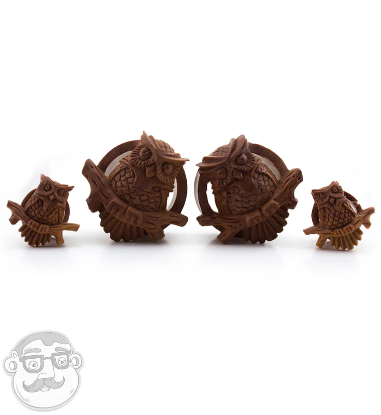 Owl Perch Carved Saba Wood Tunnels - Mrs Treak