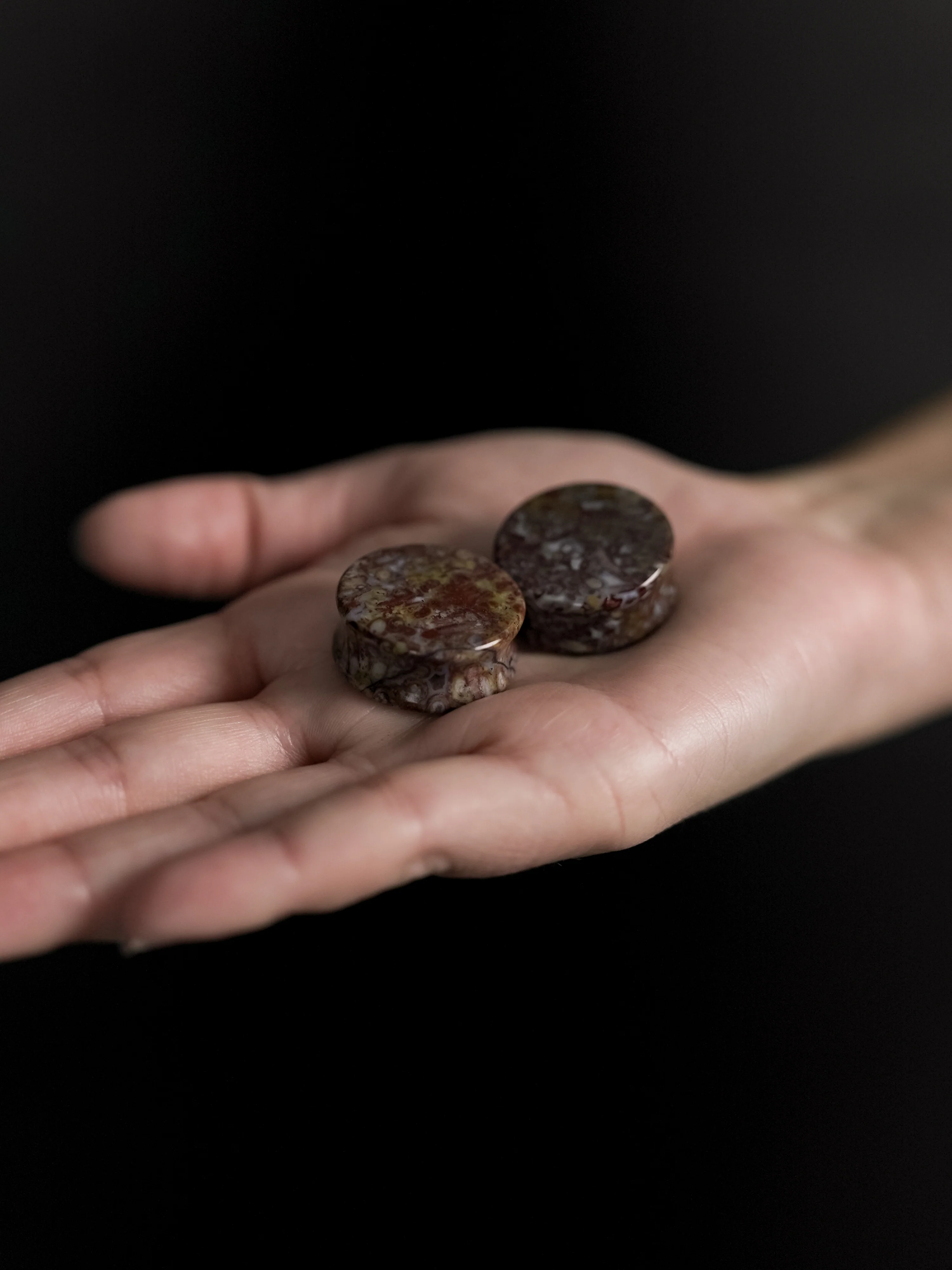 Petrified Palm Root Agate Plugs - Mrs Treak