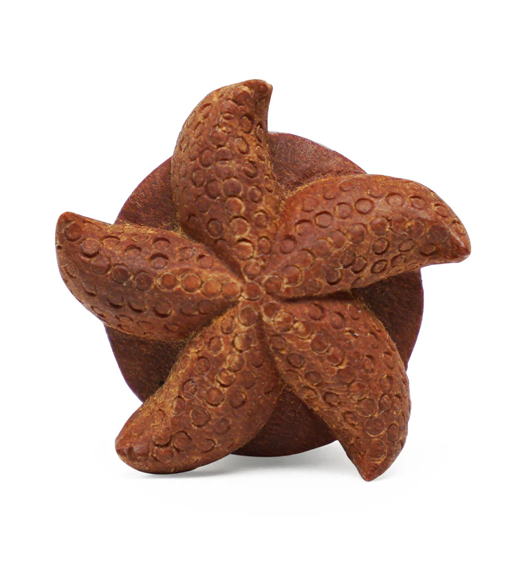 Starfish Saba Wood Plugs - Mrs Treak