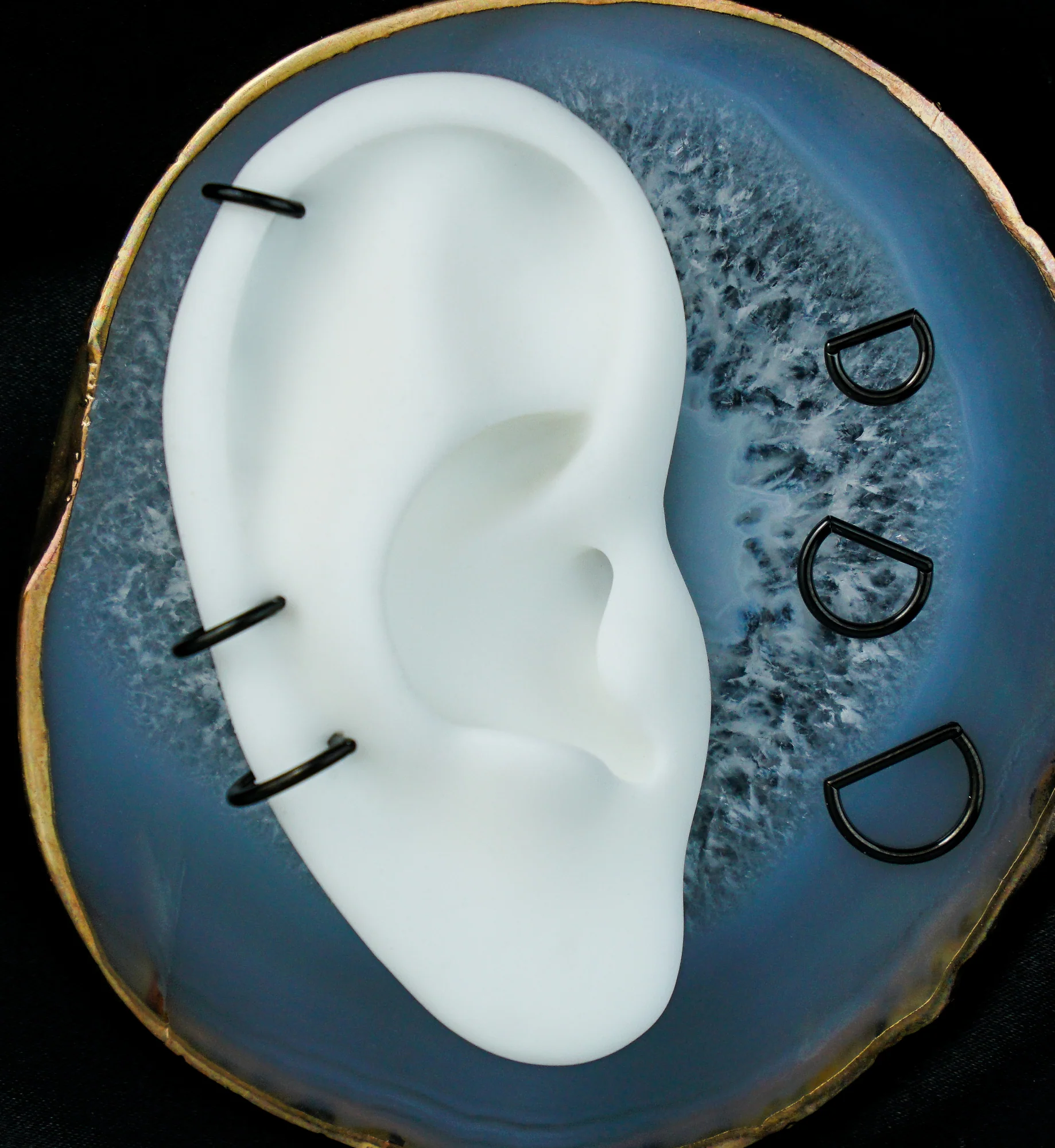 Black PVD Titanium D-Shaped Hinged Segment Ring - Mrs Treak