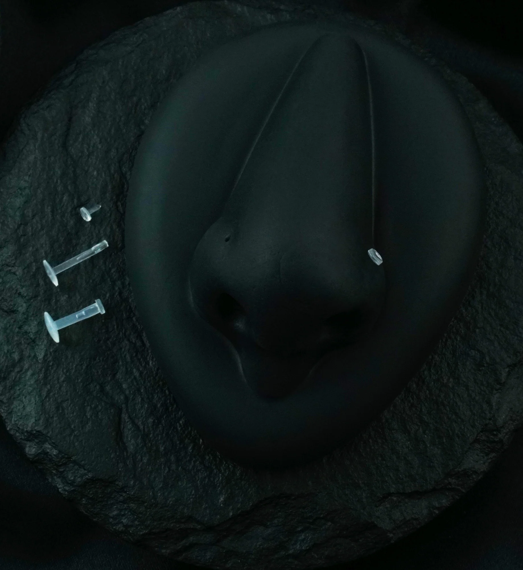 Clear Push Pin Retainer Labret Stud - Mrs Treak