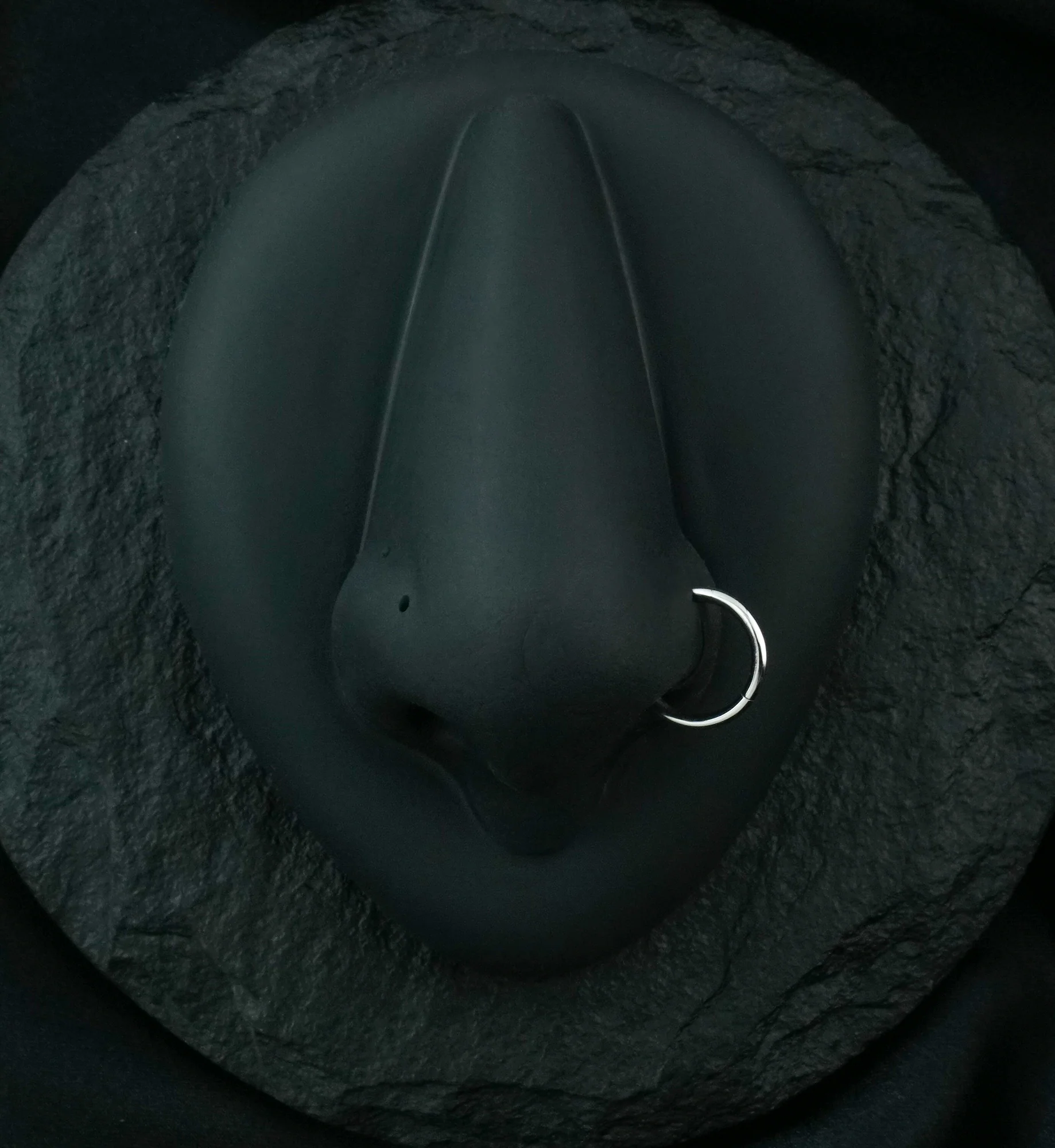 14kt White Gold Hinged Segment Ring - Mrs Treak