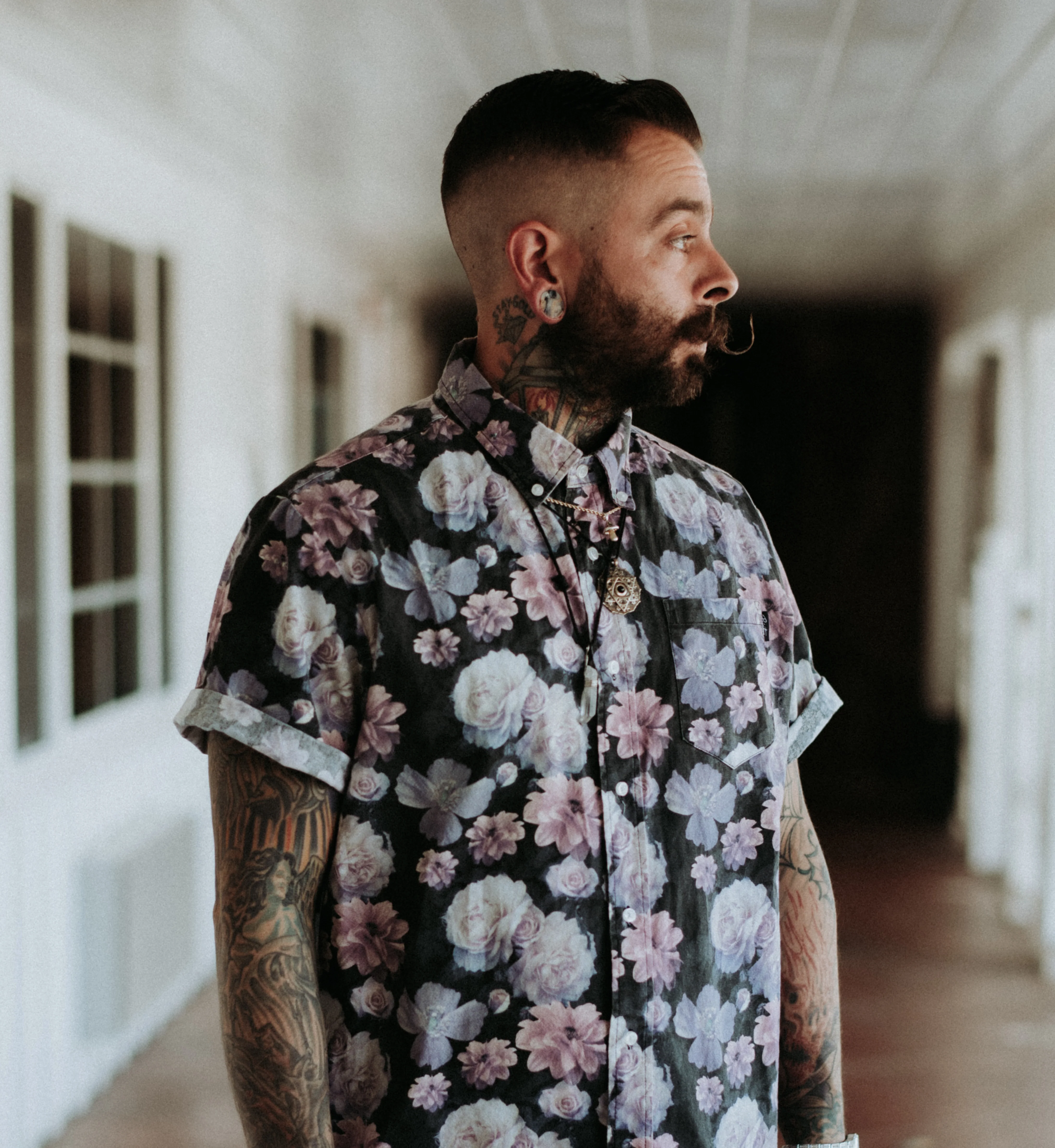 Tiger Agate Dendritic Stone Plugs - Mrs Treak