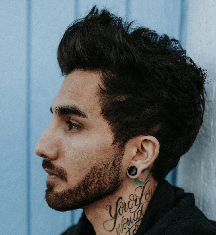 Black Obsidian Stone Plugs - Mrs Treak