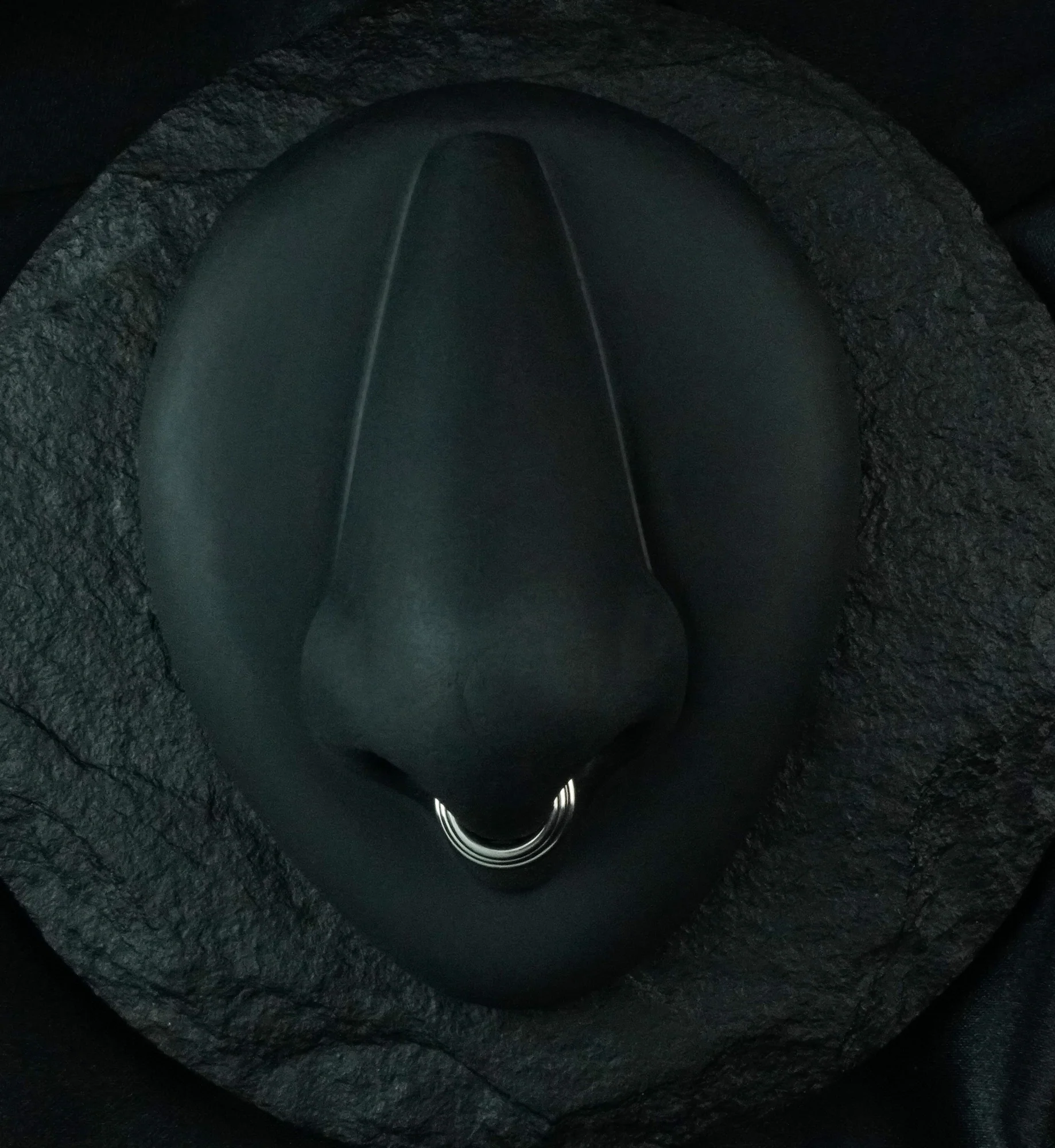 Triple Layered Titanium Hinged Segment Ring - Mrs Treak