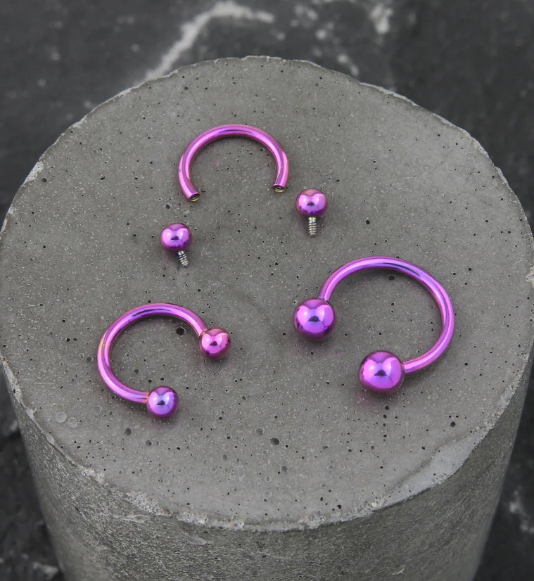 Purple PVD Titanium Circular Barbell - Mrs Treak