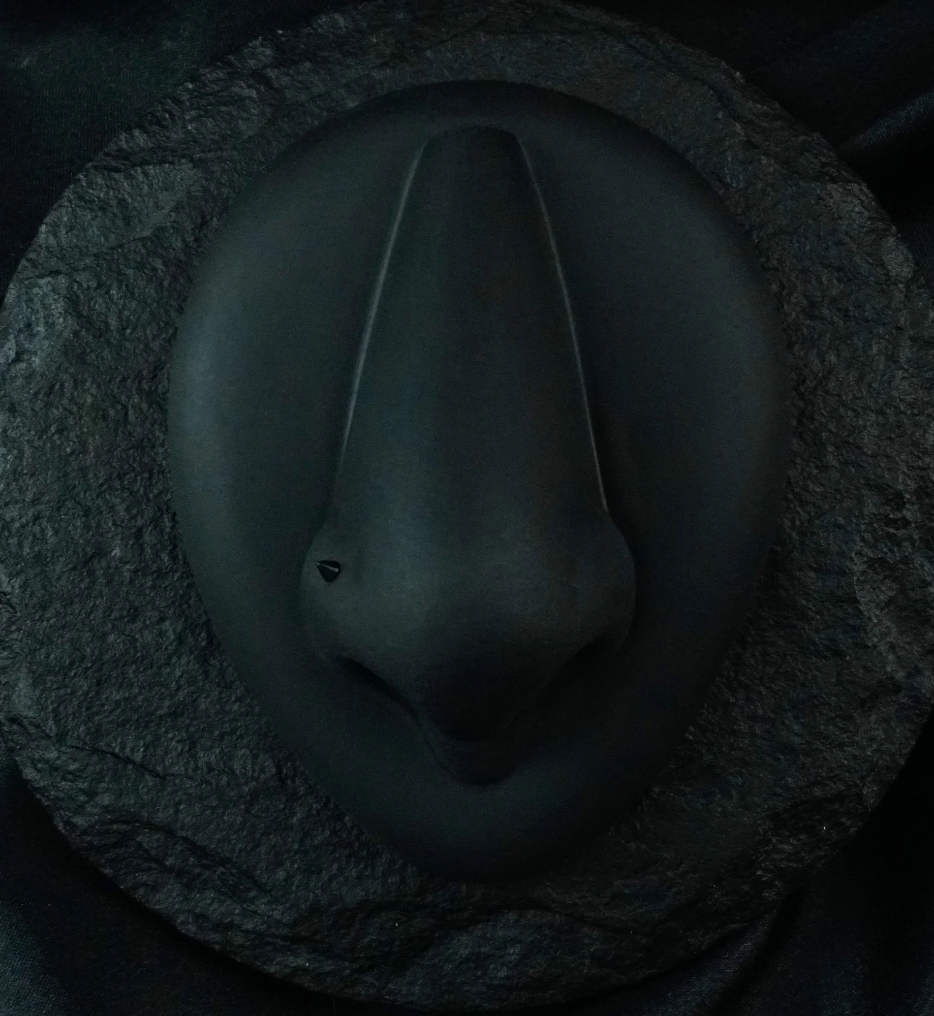 Black PVD Spike Titanium Nose Screw - Mrs Treak