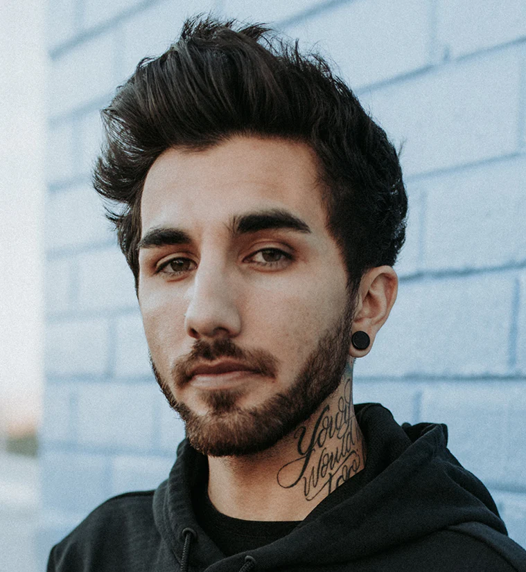 Black Obsidian Stone Plugs - Mrs Treak