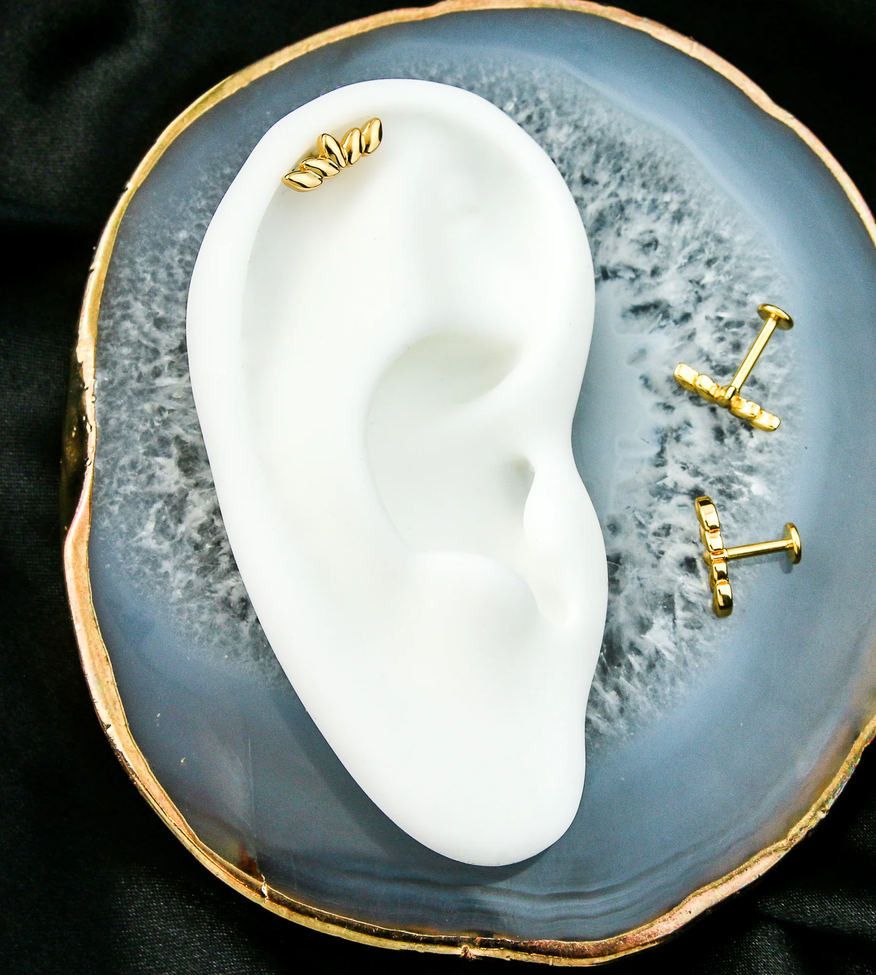 Gold PVD Crest Internally Threaded Stainless Steel Labret - Mrs Treak