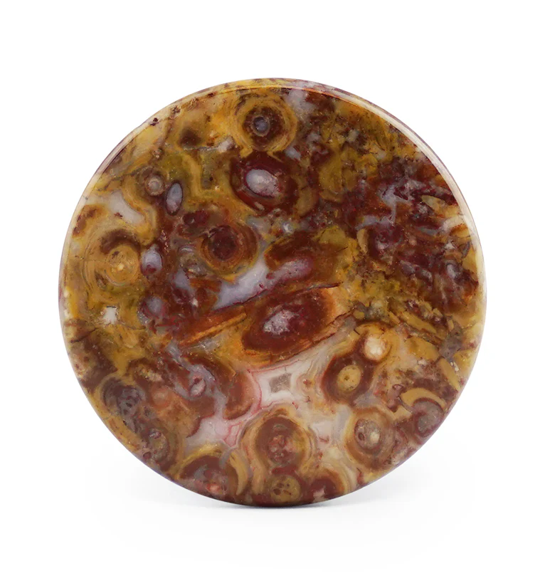 Petrified Palm Root Agate Plugs - Mrs Treak