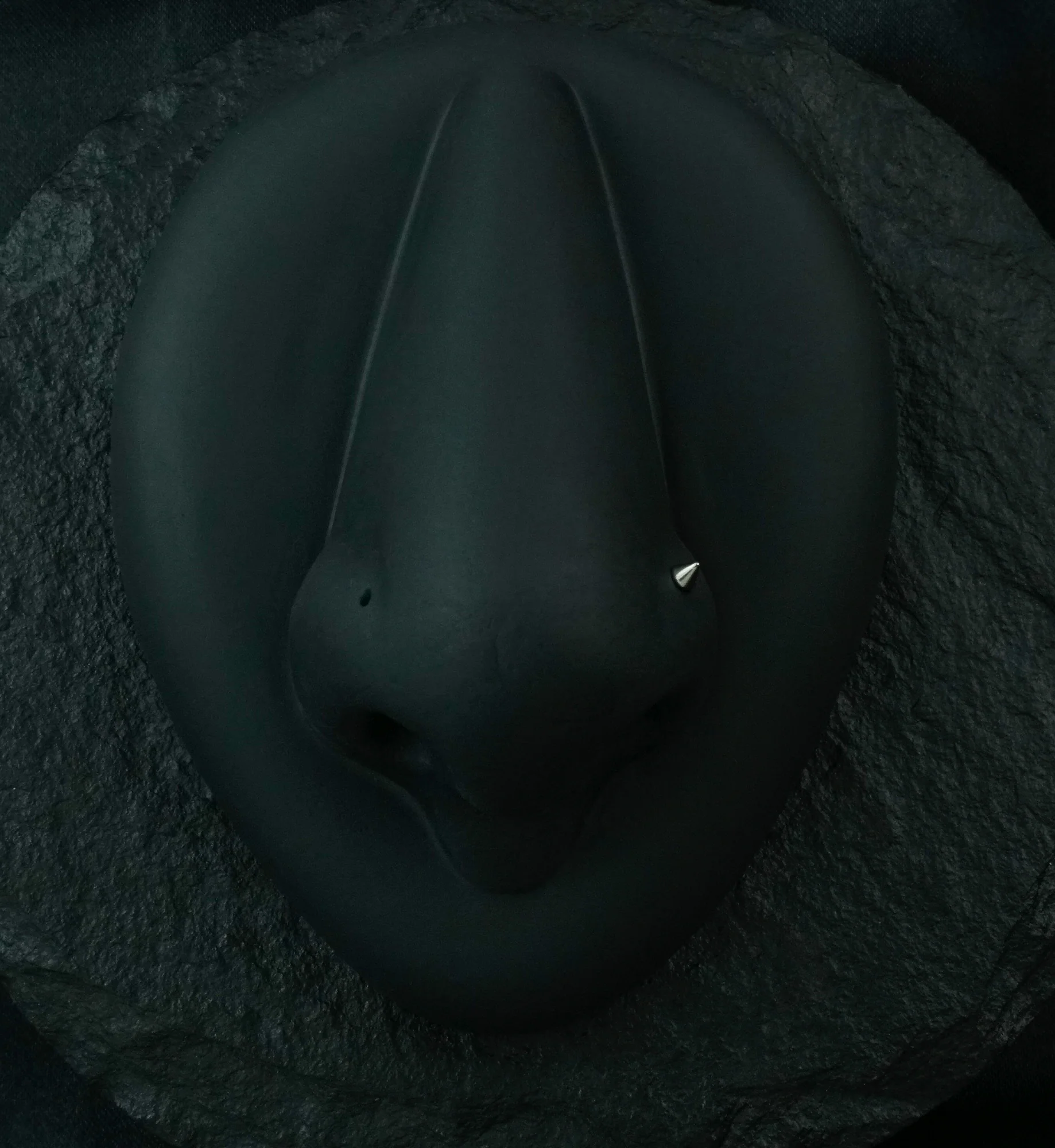 Spike Top L Bend Titanium Nose Ring - Mrs Treak