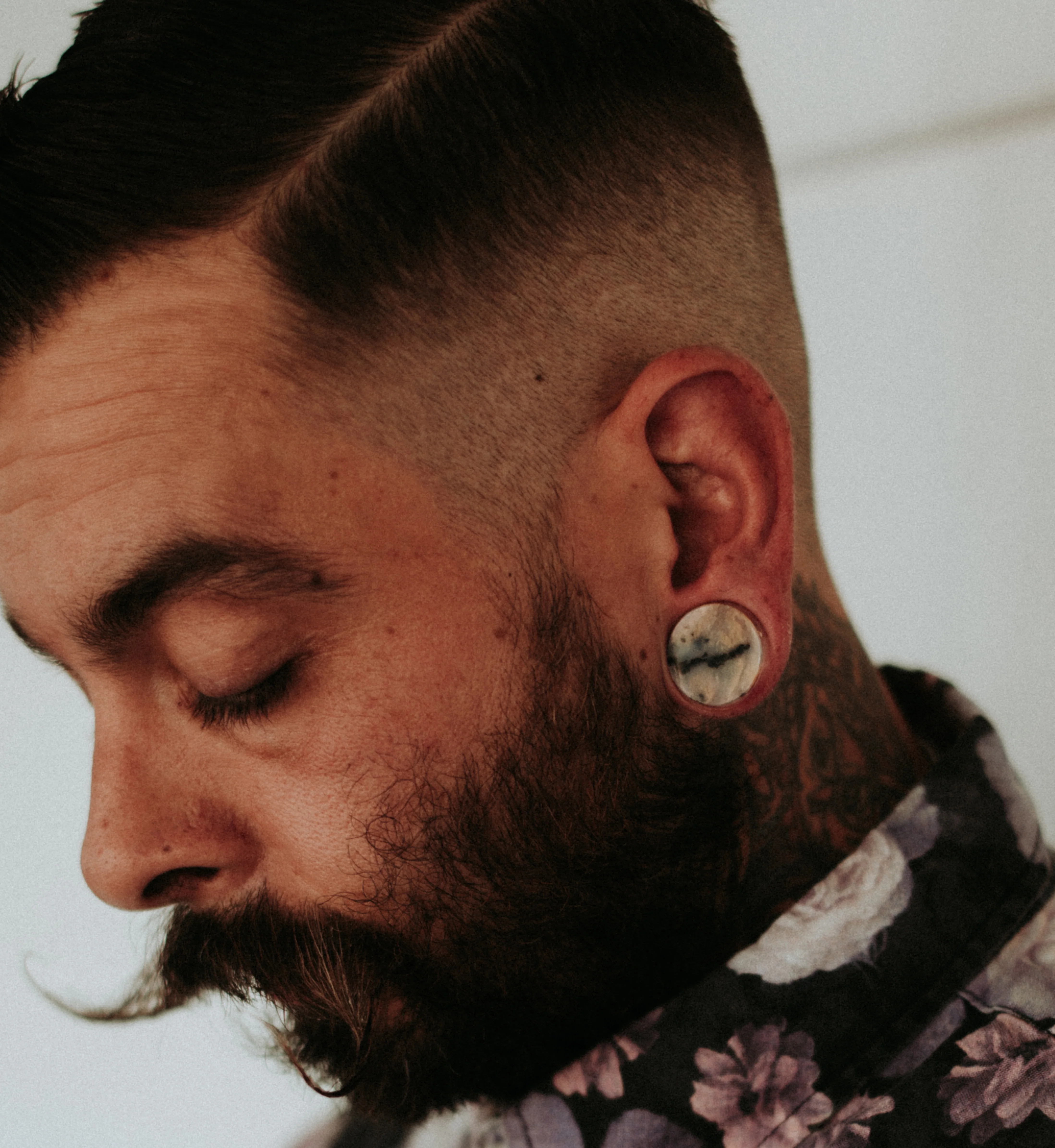 Tiger Agate Dendritic Stone Plugs - Mrs Treak