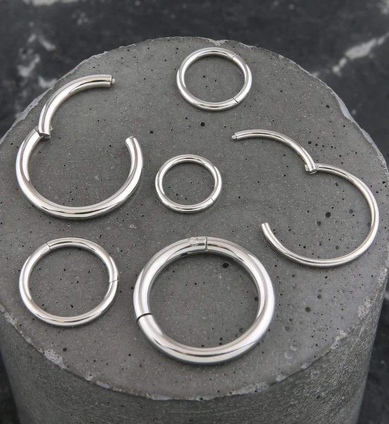 Hinged Stainless Steel Segment Hoop Ring - Mrs Treak