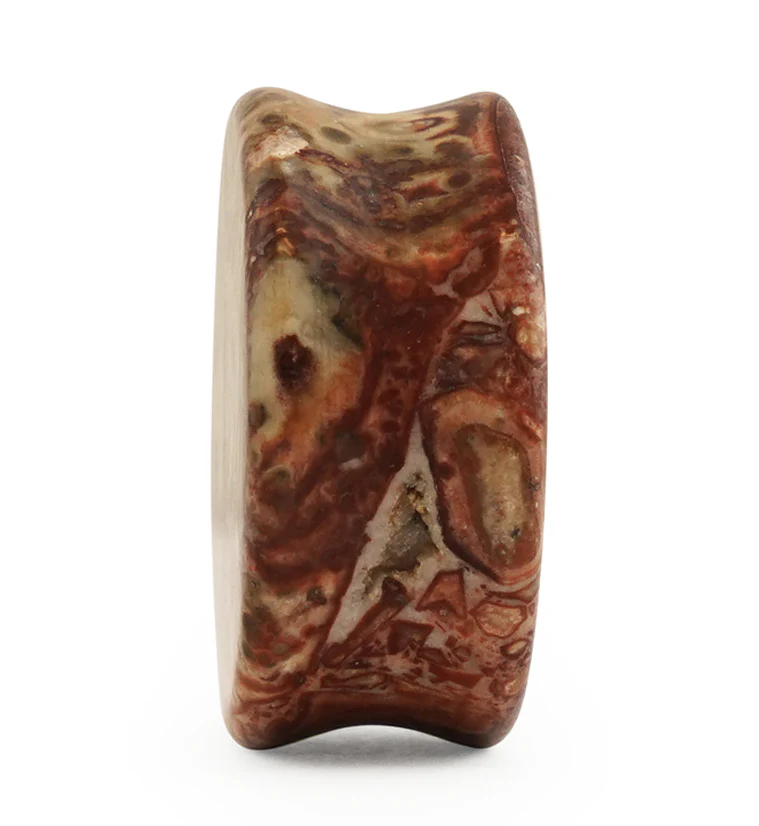 Leopard Jasper Stone Plugs - Mrs Treak