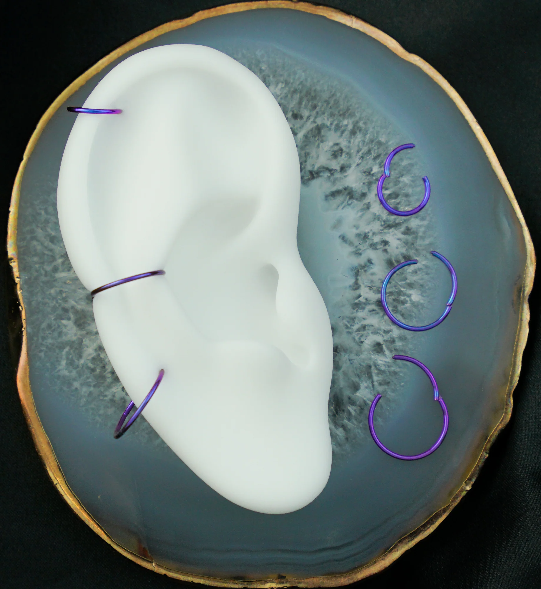 Purple Anodized Titanium Hinged Segment Hoop Ring - Mrs Treak