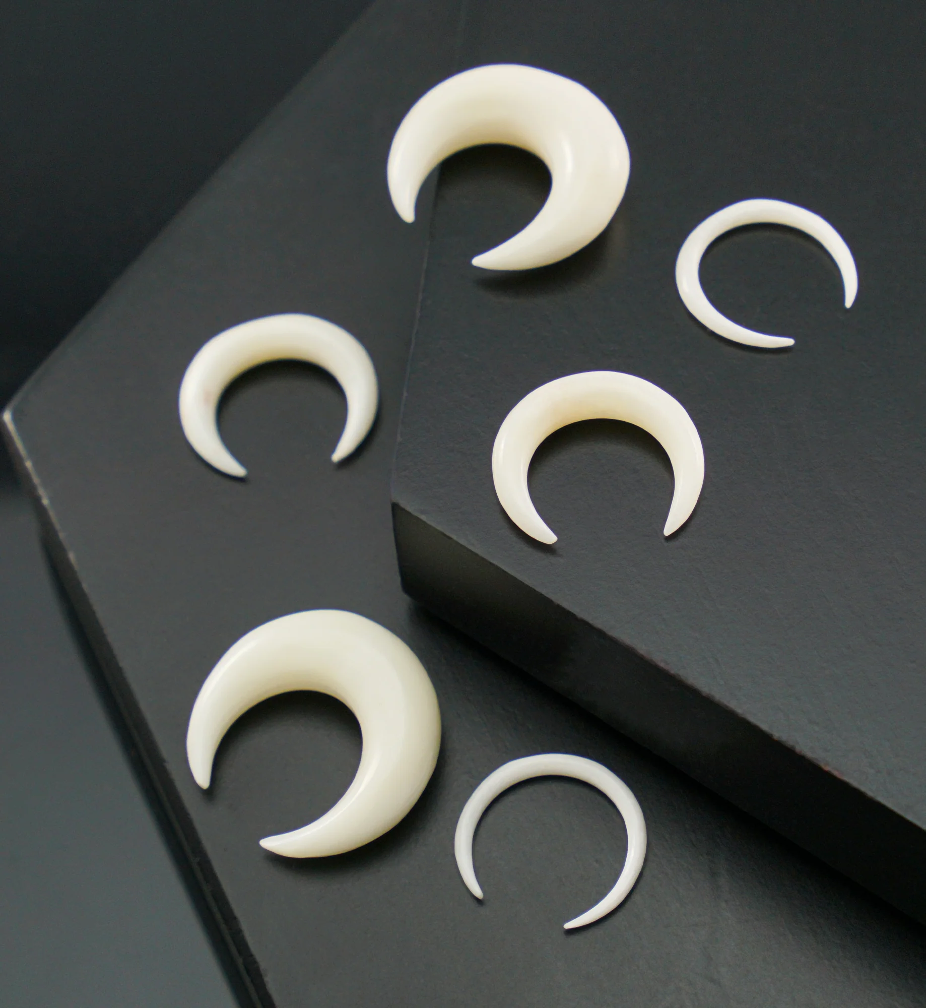 Bone Septum Pincher - Mrs Treak