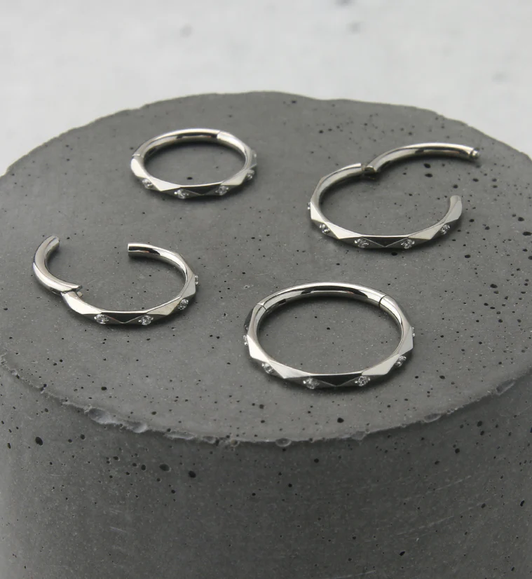 Facet CZ Titanium Hinged Segment Ring - Mrs Treak
